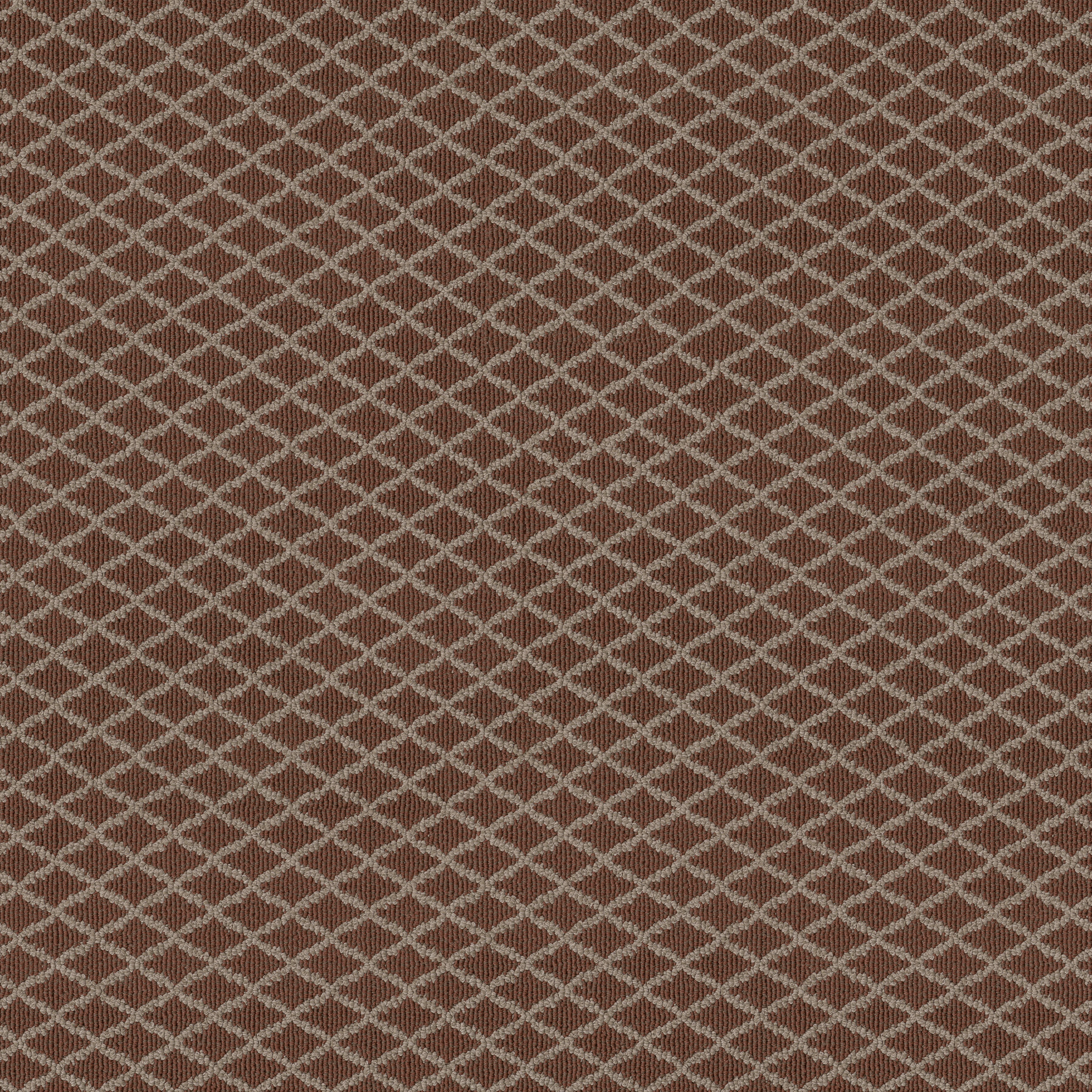 SPRINGER'S POINT BURNT RUSSET MAIN