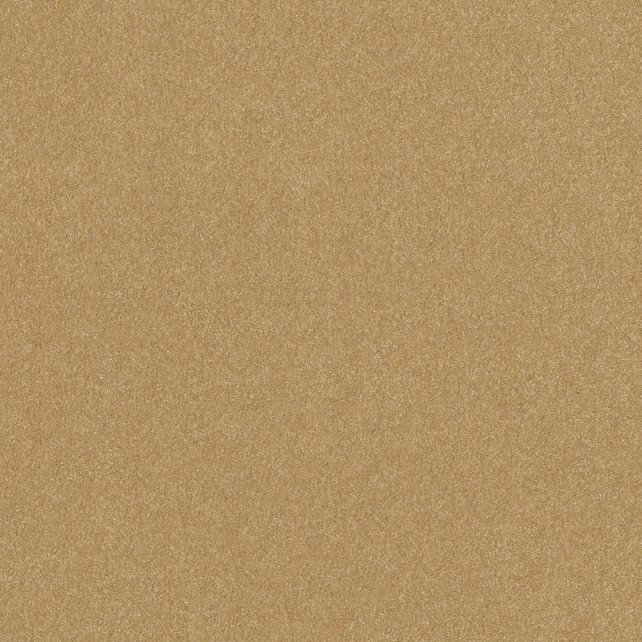 HARD AT PLAY I 12' HONEYCOMB MAIN