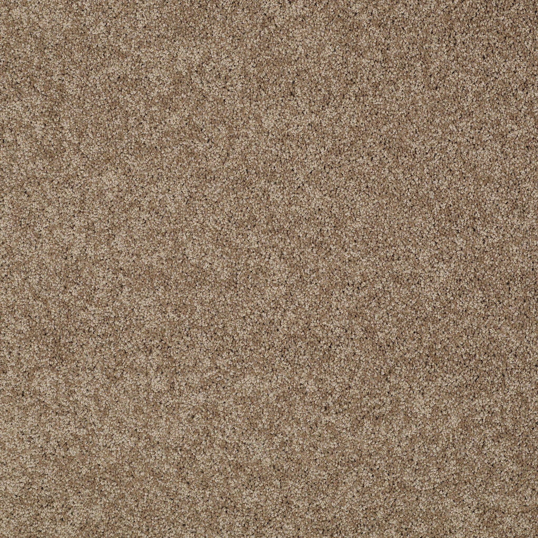 MY DESTINATION II SAFFRON MAIN