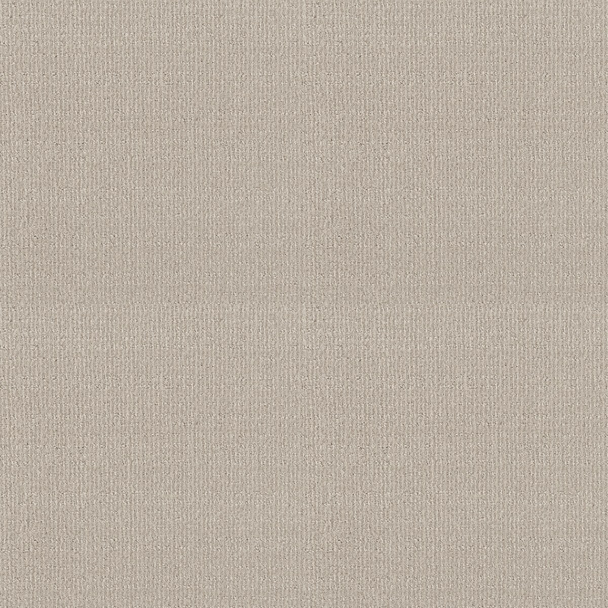 Shaw Floors SIERRA VISTA — ALABASTER