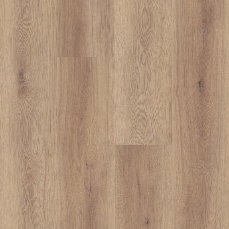 BRIARD in Flax Oak by Shaw Floors