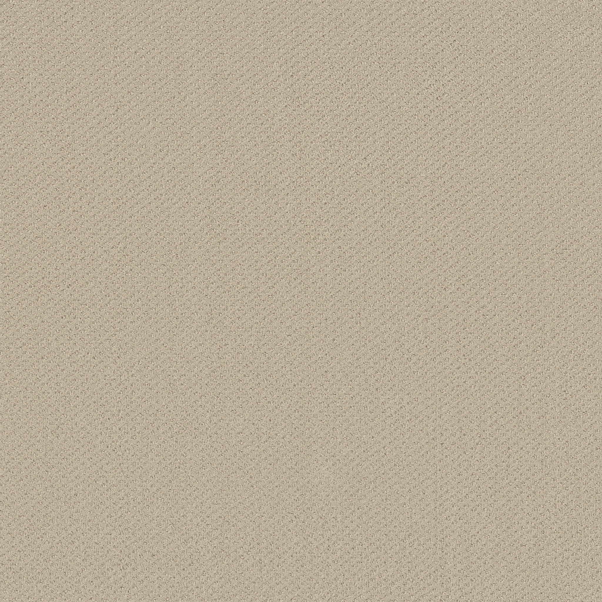 SQUARE ONE CANVAS MAIN