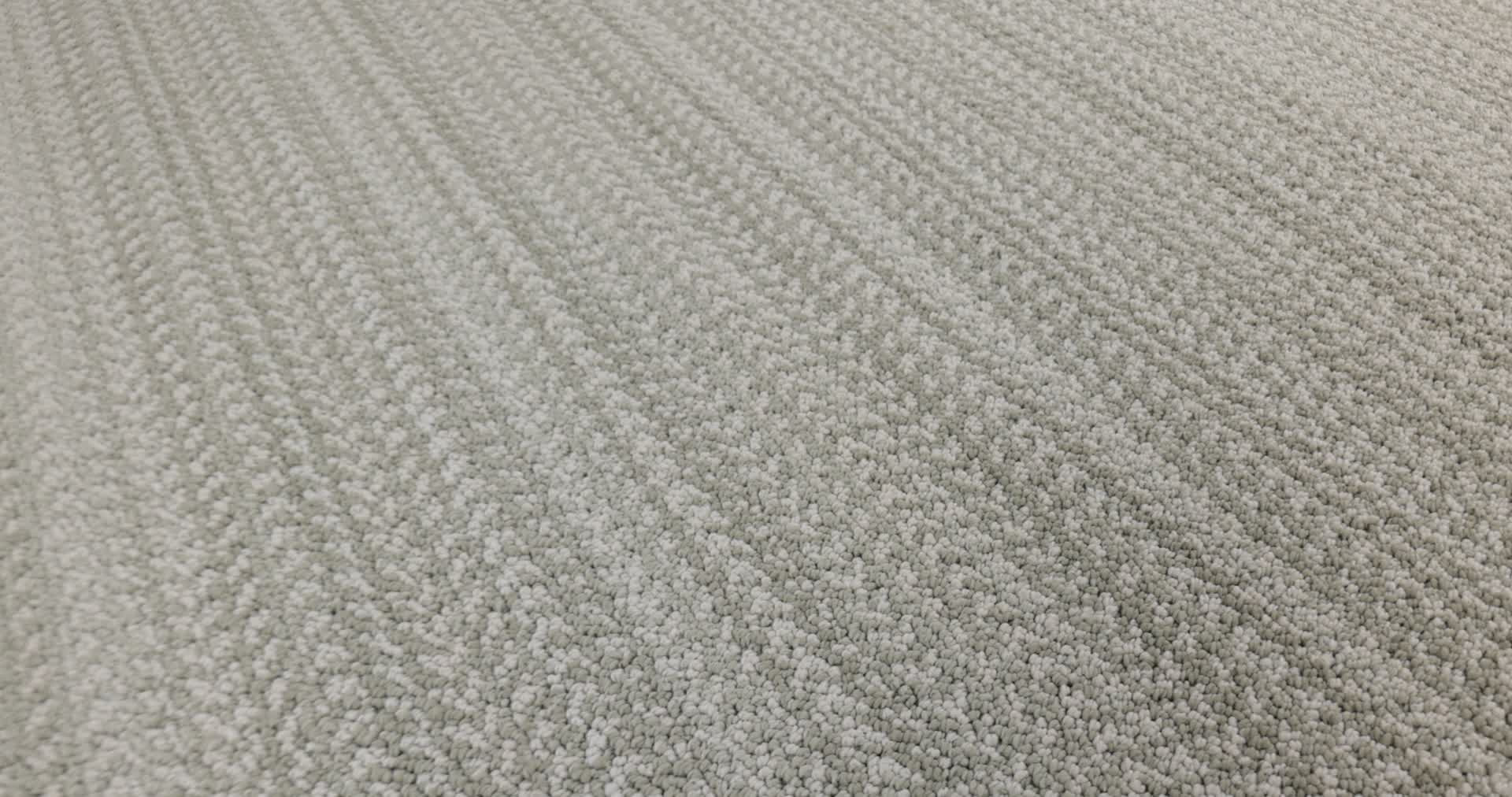 MARQUET MOSSY GROVE 360PROD