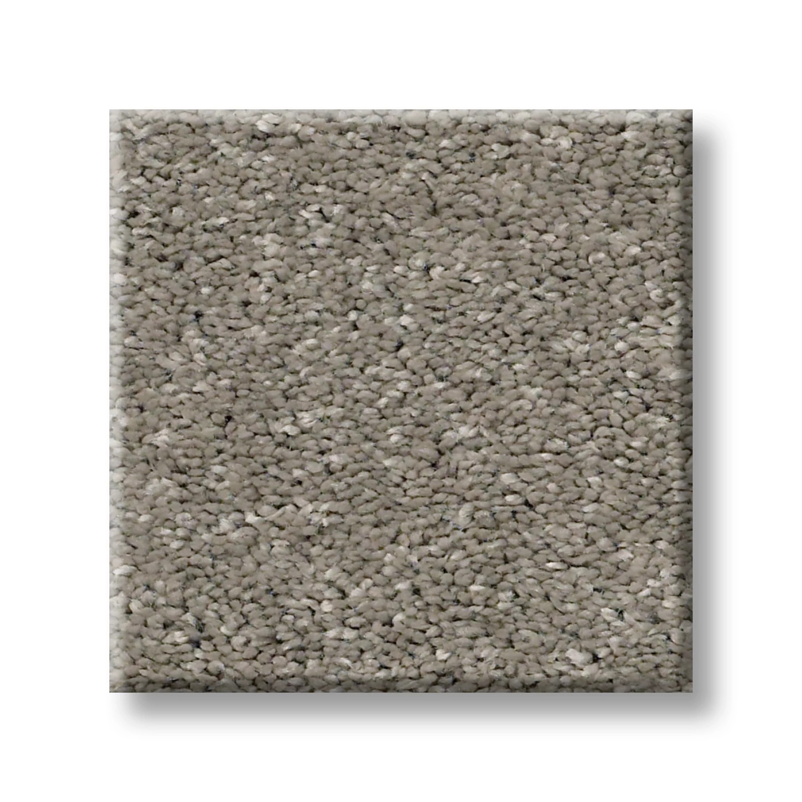 AFTER ALL II RUSTIC TAUPE SWATCH