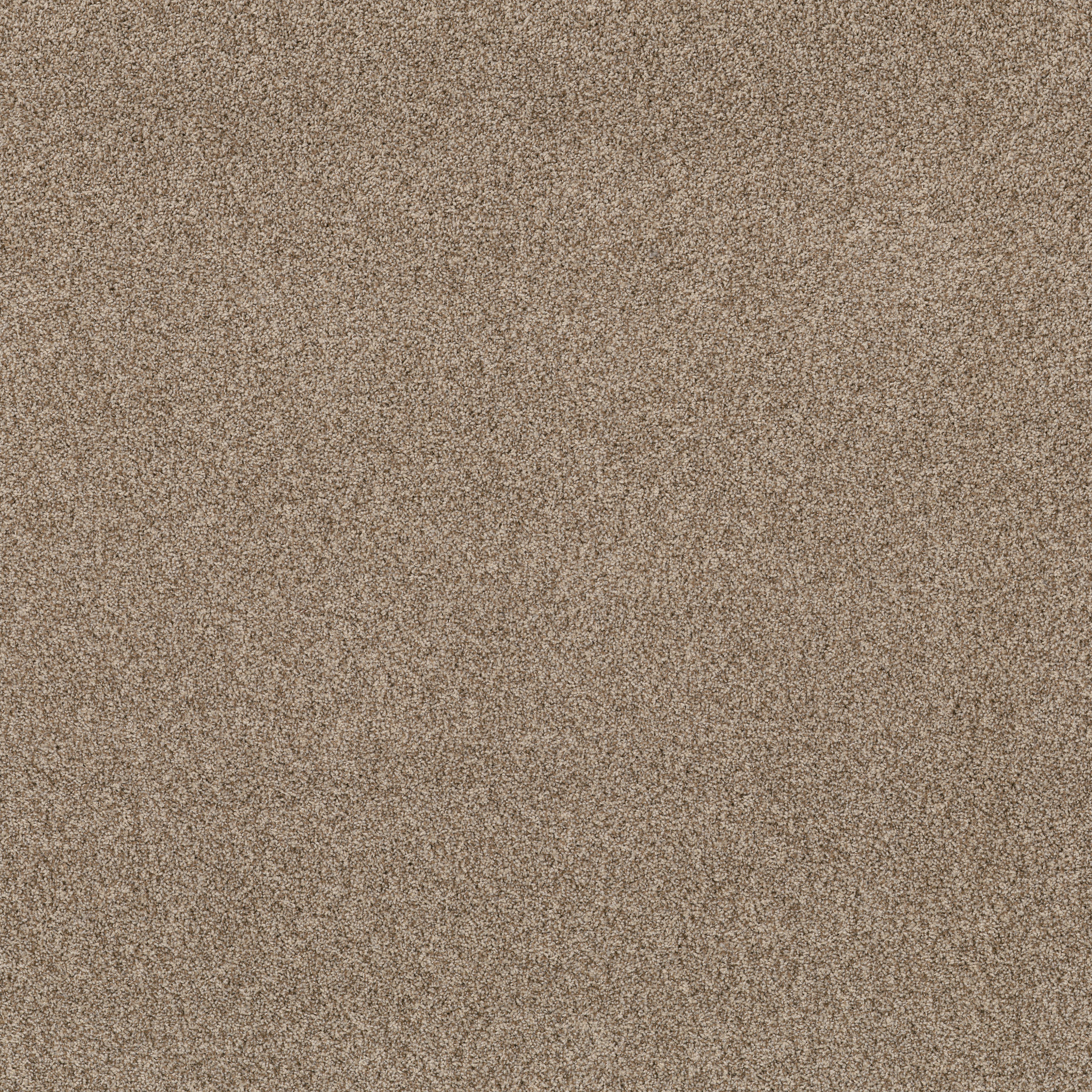 VIA NOVA NUTSHELL MAIN