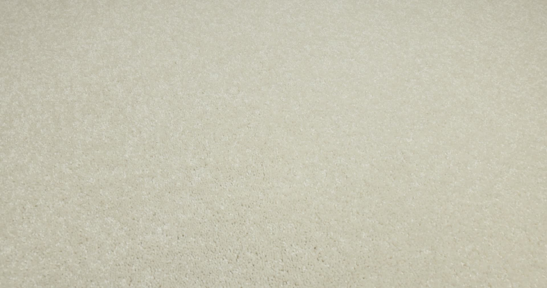 LAS CRUCES POLAR BEAR 360PROD