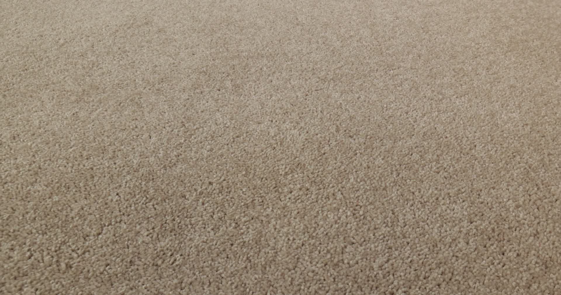 NEWBERN CLASSIC 12' DOVE 360PROD