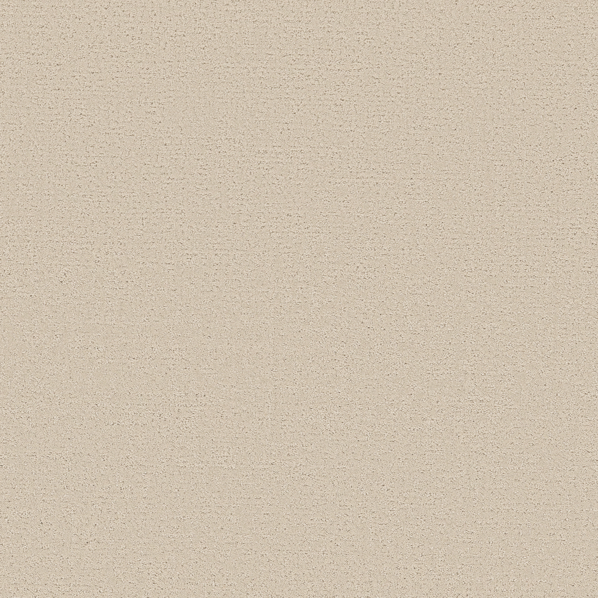 REFINED CANVAS HOMEMADE ICE CREAM MAIN