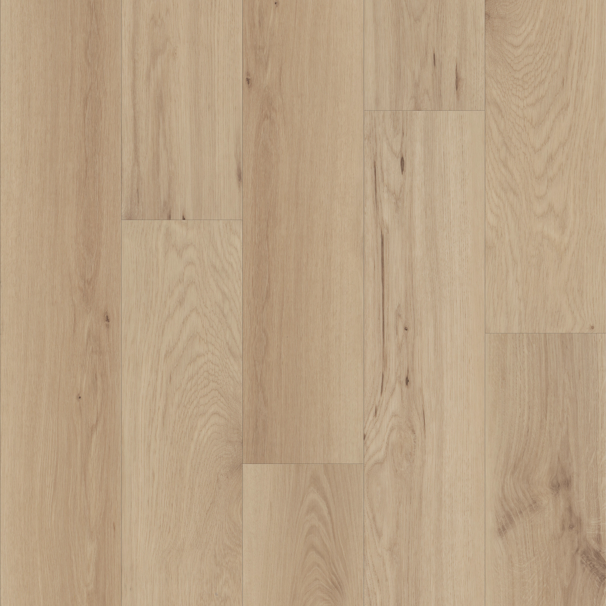 WHISPERIA-5740V-LOW-KEY-01248-main-image