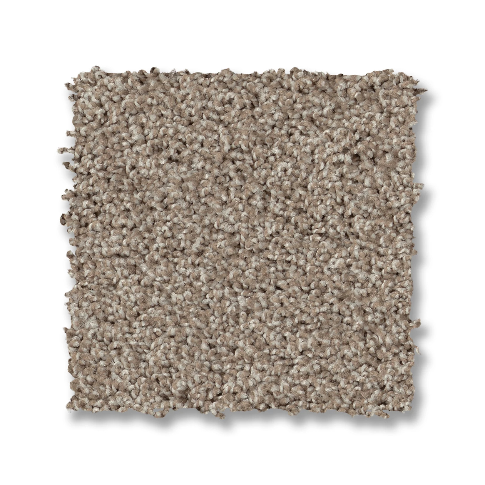 ALWAYS MINE MUSHROOM SWATCH