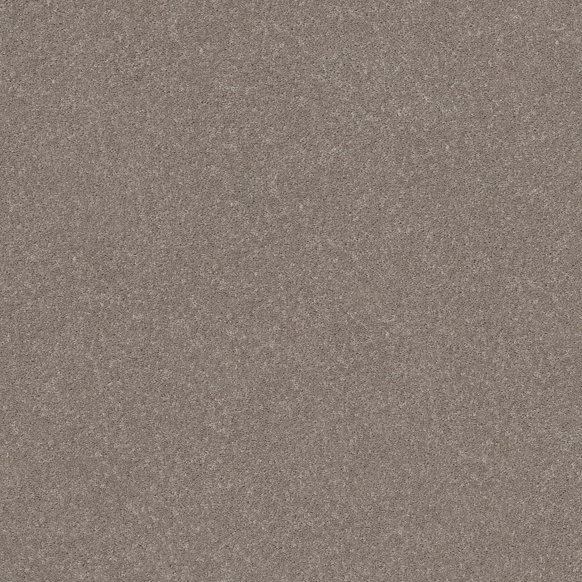 Shaw Floors SMOOTH TALK I — ANEW GREY