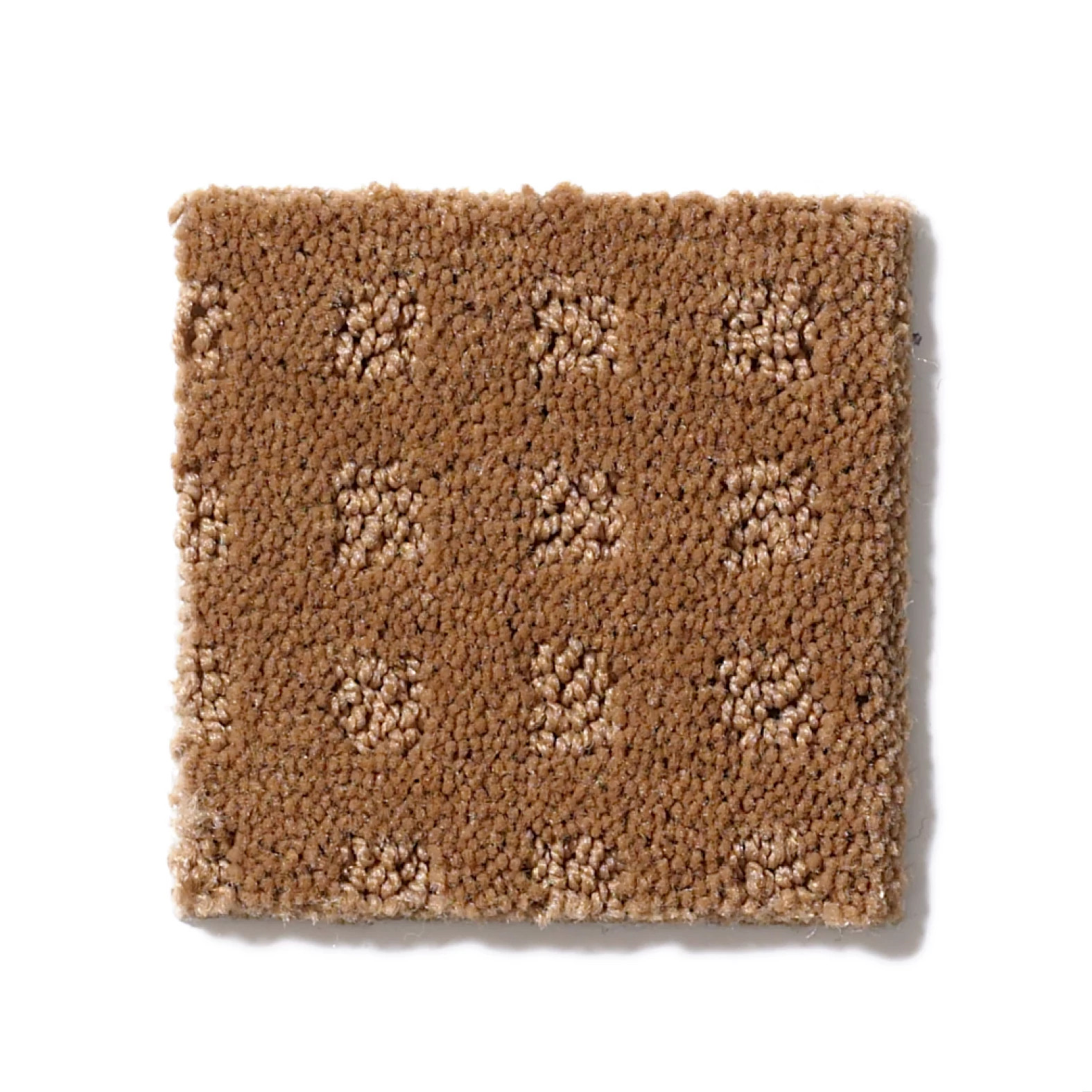 MADE TO BE YOURS GOLD COIN SWATCH