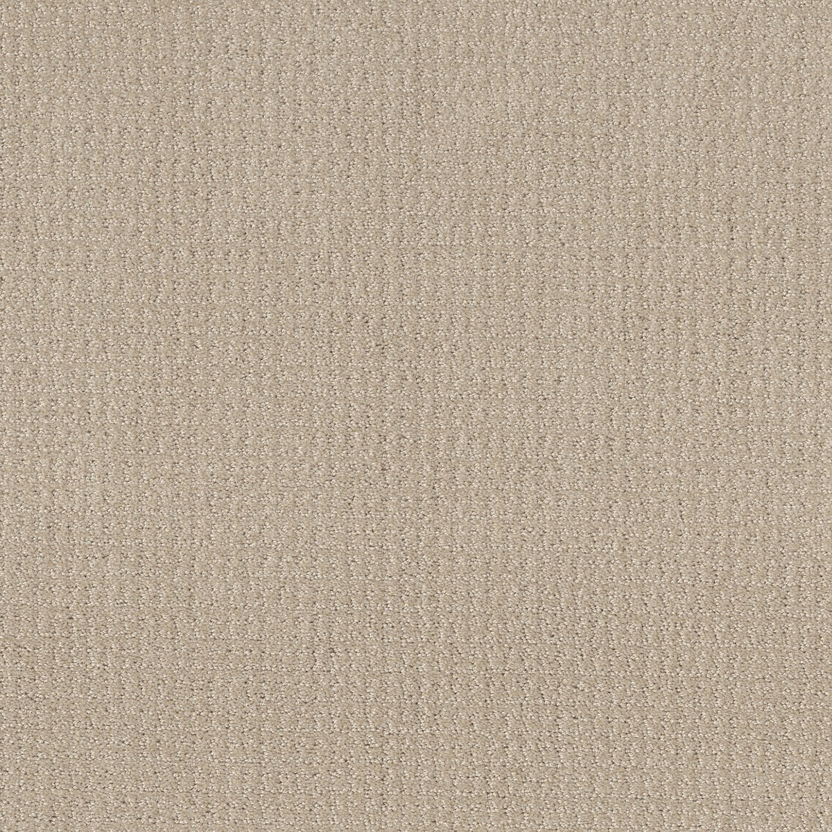 Shaw Floors TRANSLATE — BISCUIT