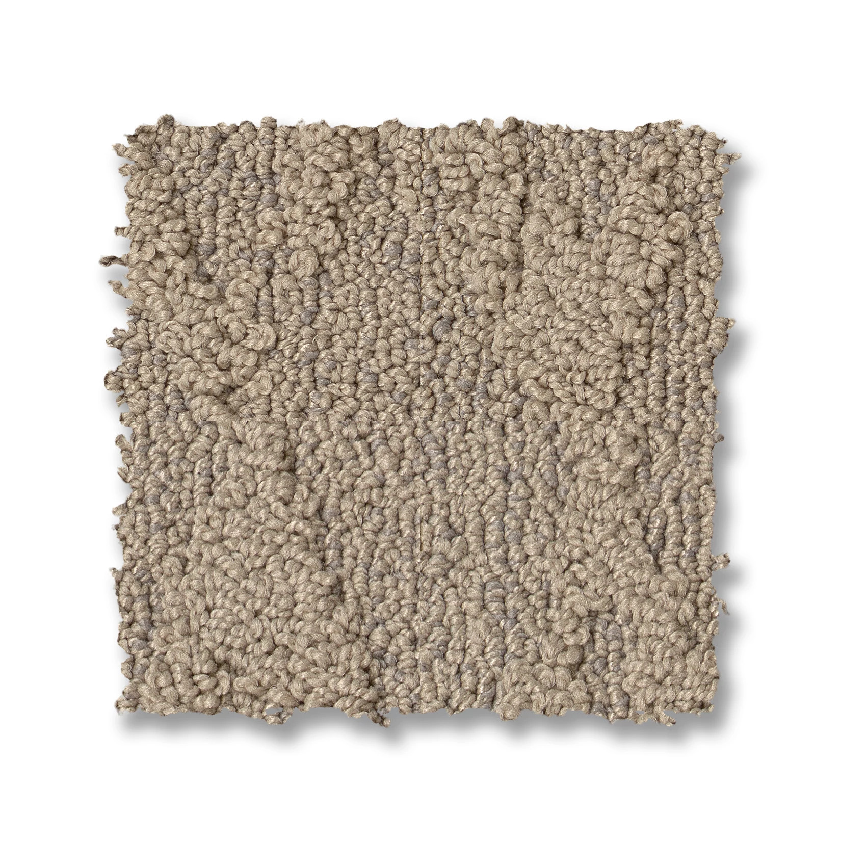 ILLUMINATION SILHOUETTE SWATCH