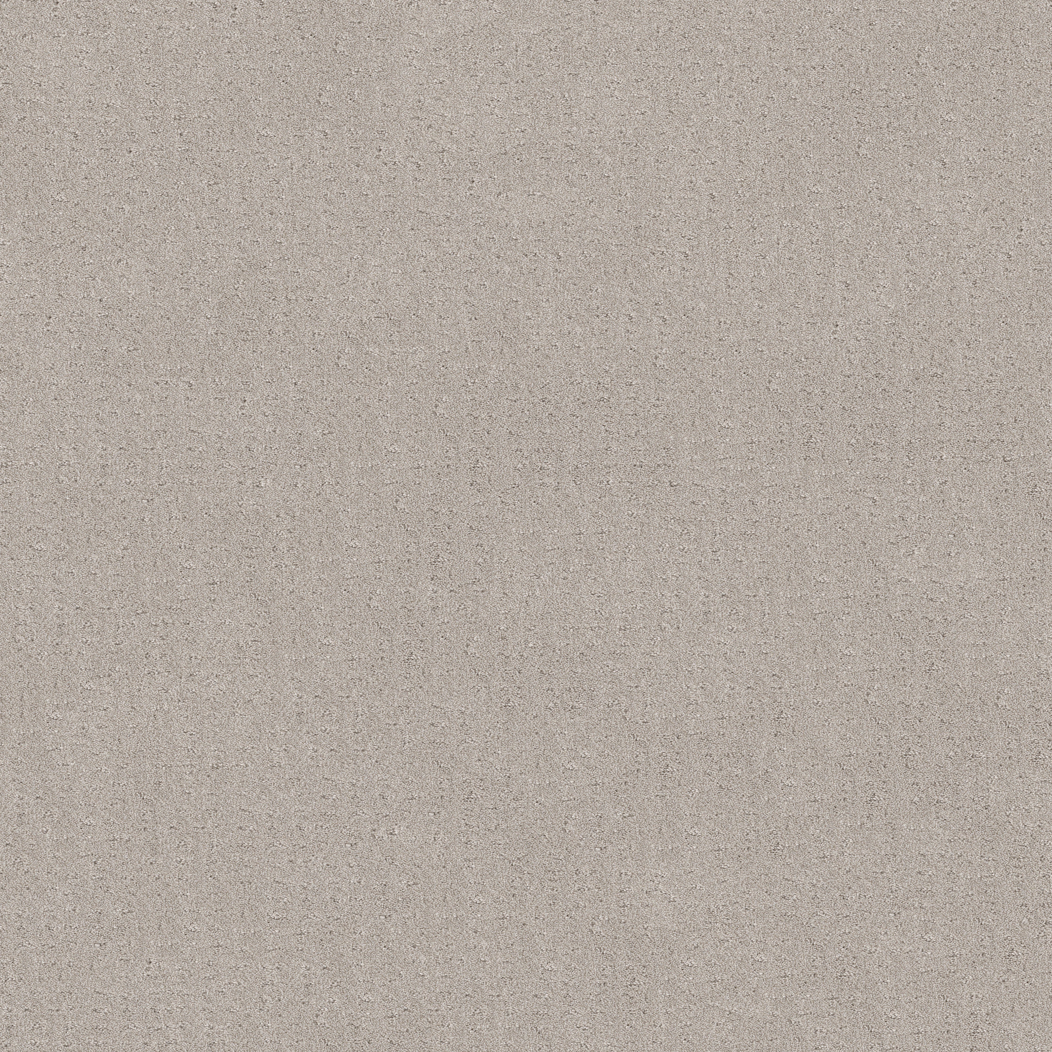 CHIC NUANCE WINTERS DAWN MAIN