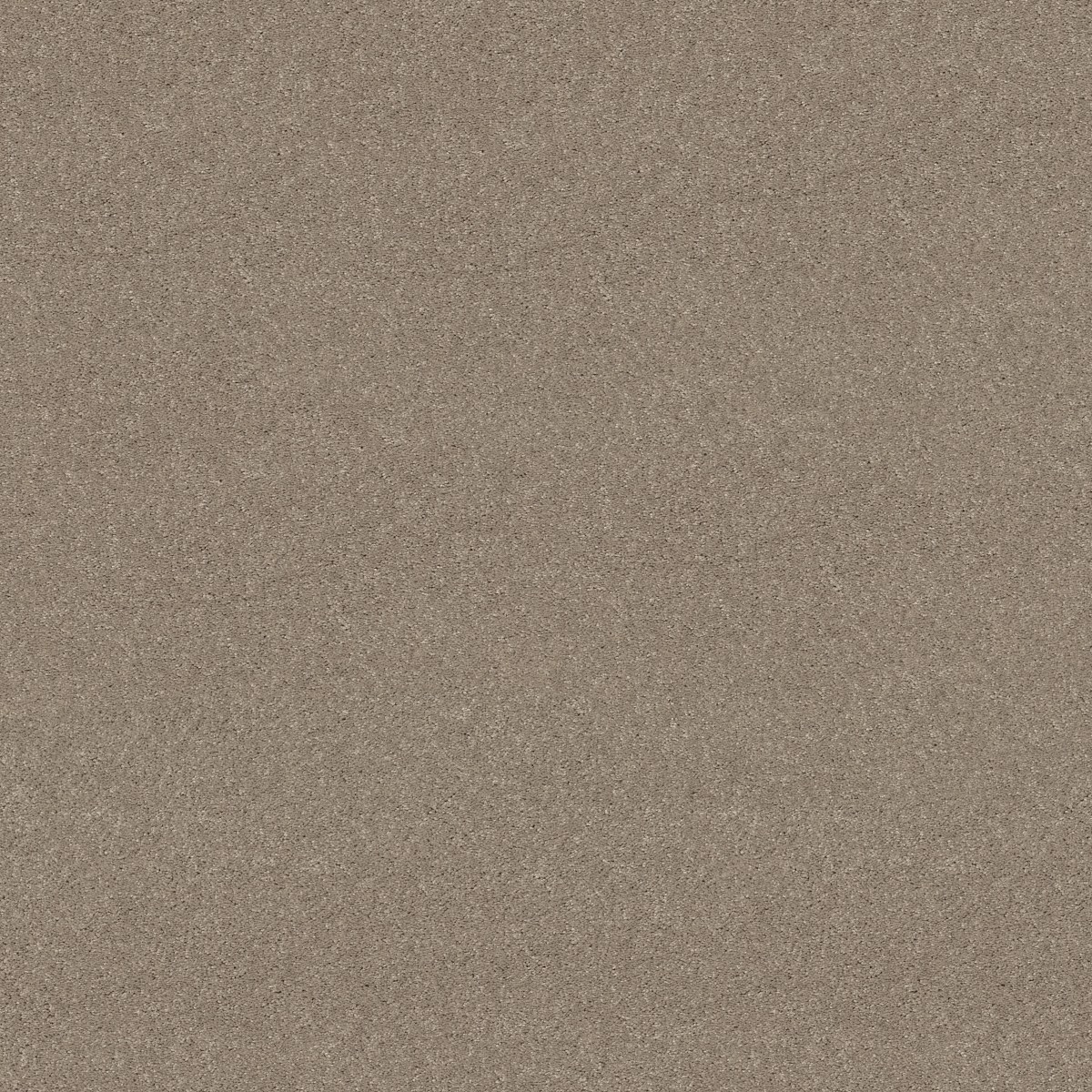 Shaw Floors NEWBERN CLASSIC 15' — ANTIQUE SILK