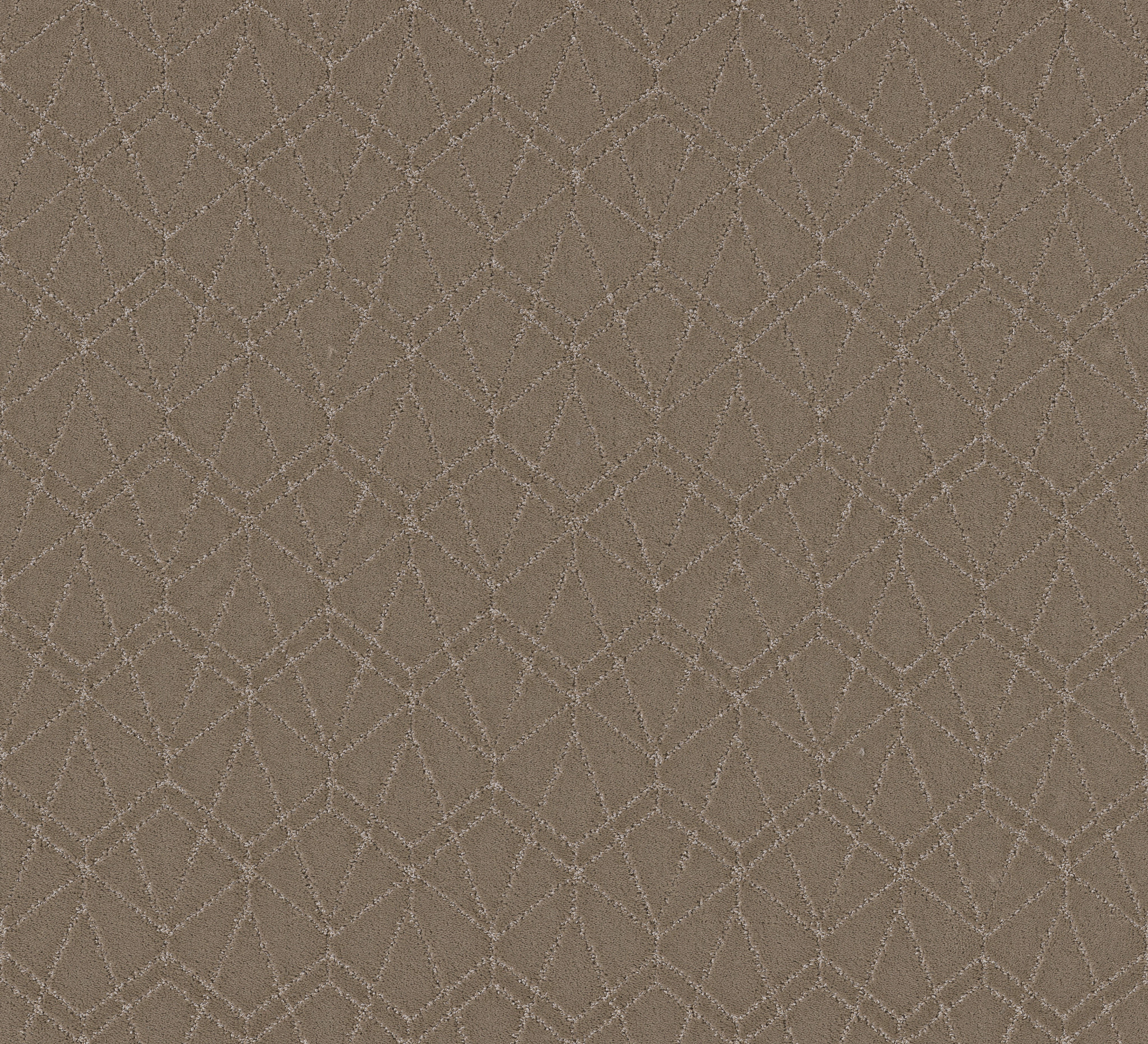 POINT OF VIEW CAMEO MAIN