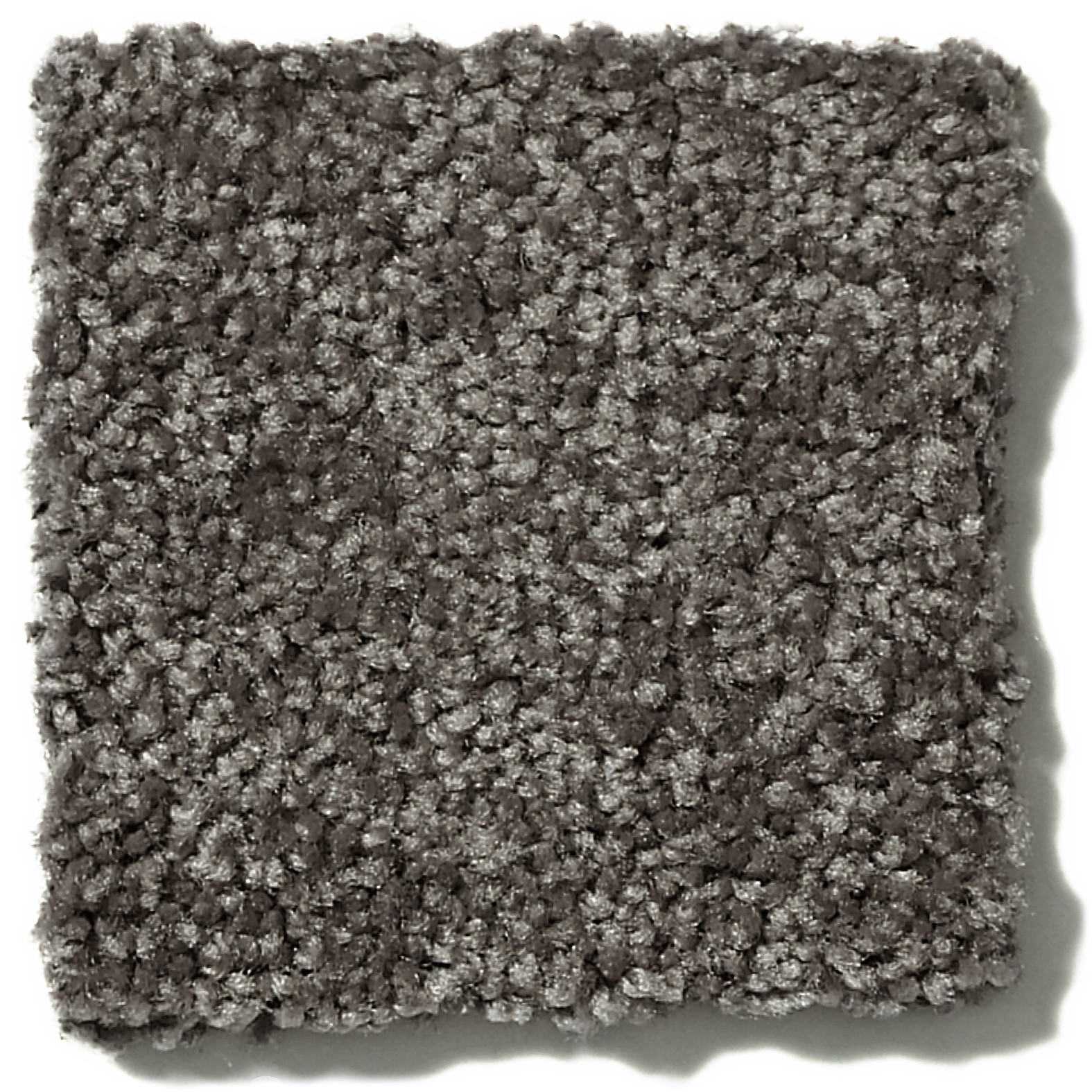 FULL COURT 12' BARN BEAM SWATCH