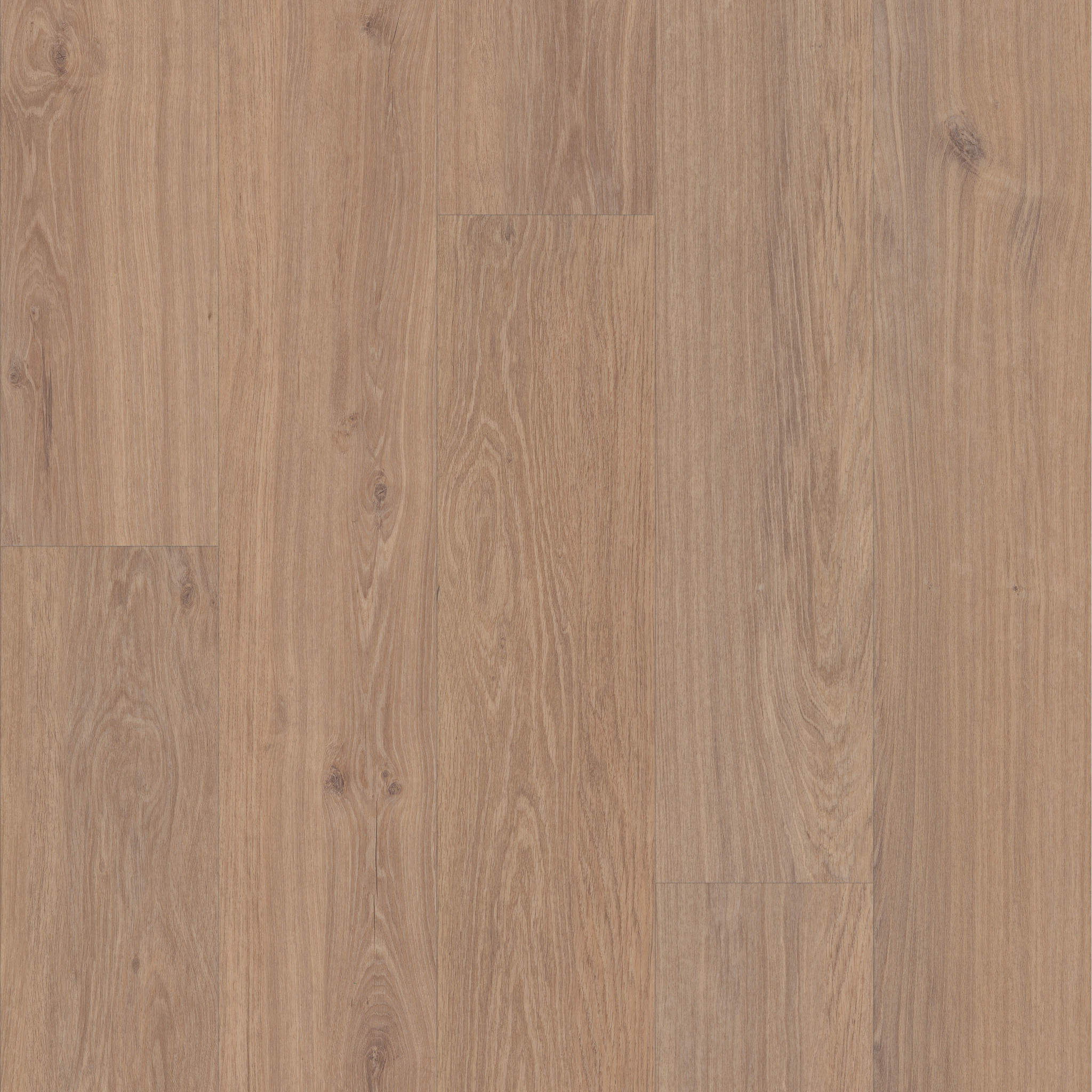 Ascent Nb - in Habitat | Shaw Floors