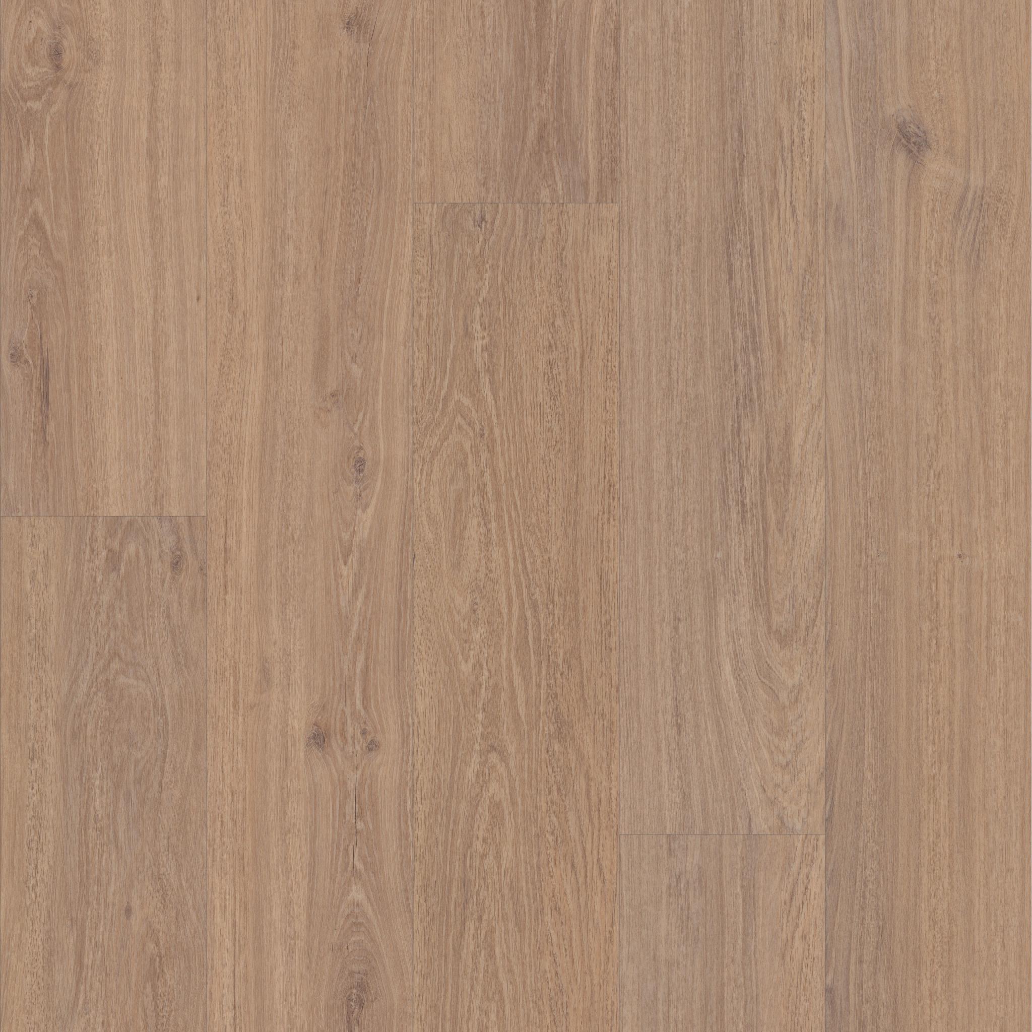 Ascent NB by Shaw Floors