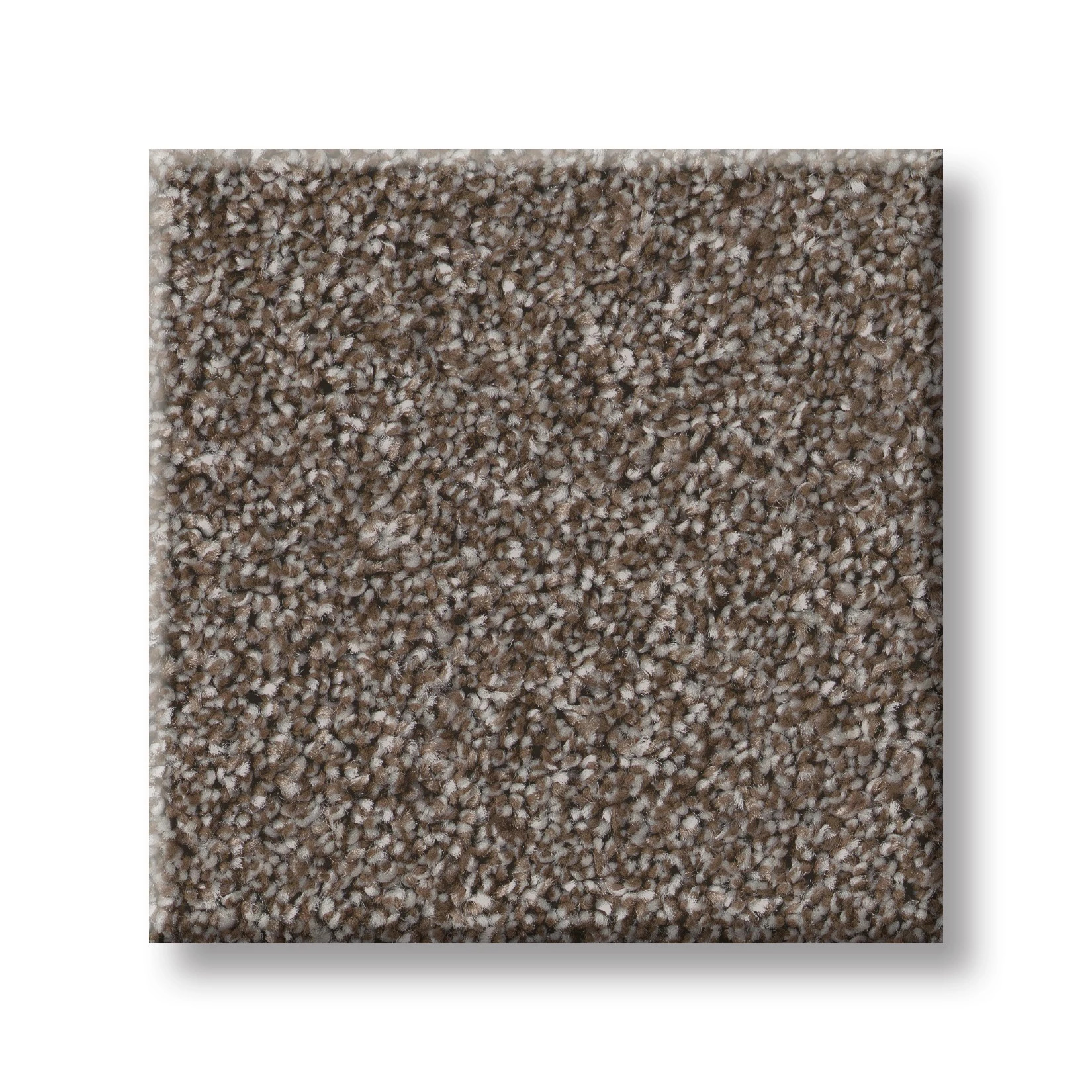 IMAGINABLE I FRENCH ROAST SWATCH