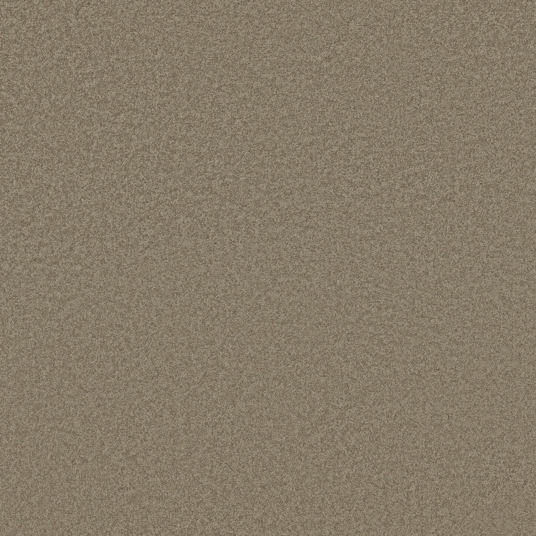 SHINGLE CREEK I 12 CHINCHILLA MAIN