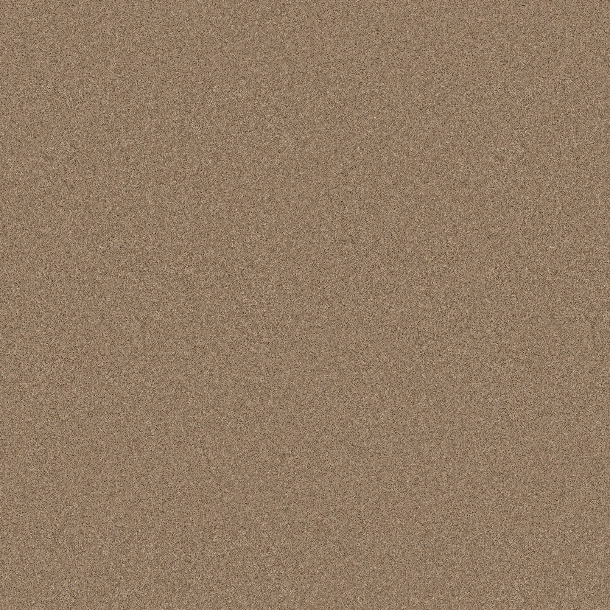 ENDURING CHARM BISCOTTI MAIN