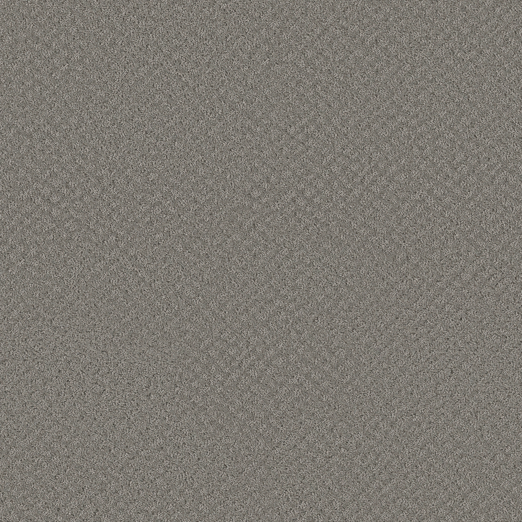 CHIC SHADES GREY FOX MAIN