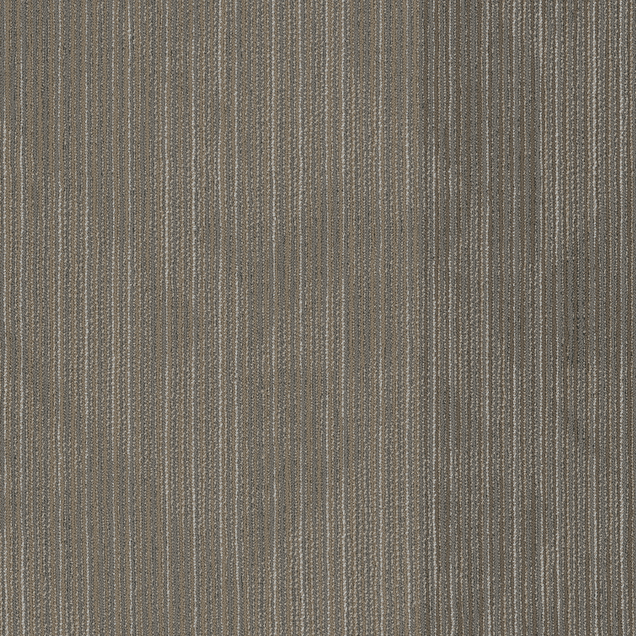 DECLARE-54904-NEWSFEED-00210-main-image