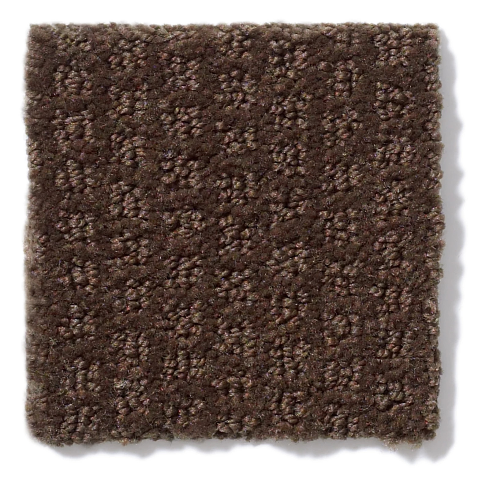 PACIFIC TRAILS MOCHA CHIP SWATCH