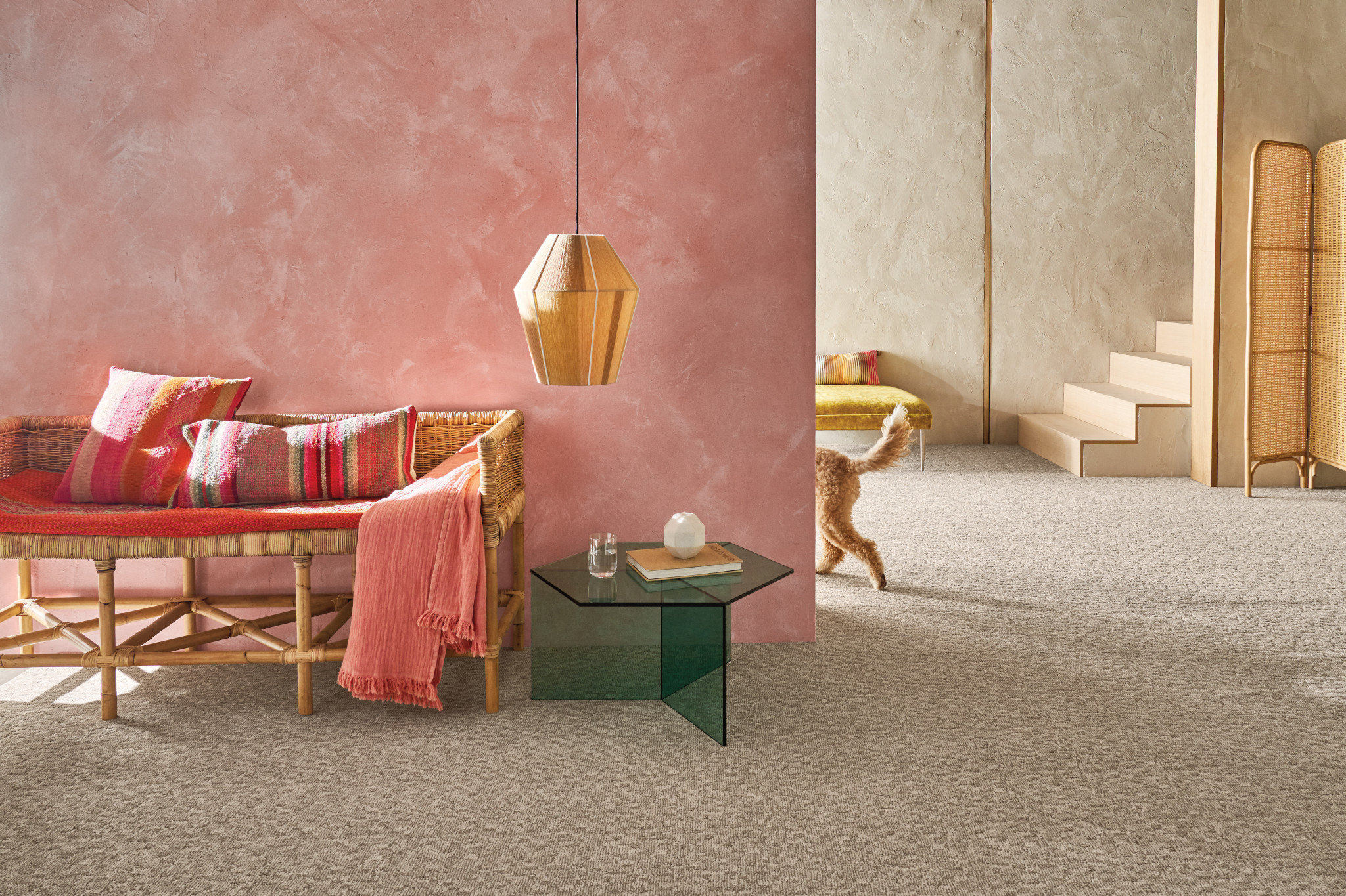 PAW-TAY BIRCH StaticImage01