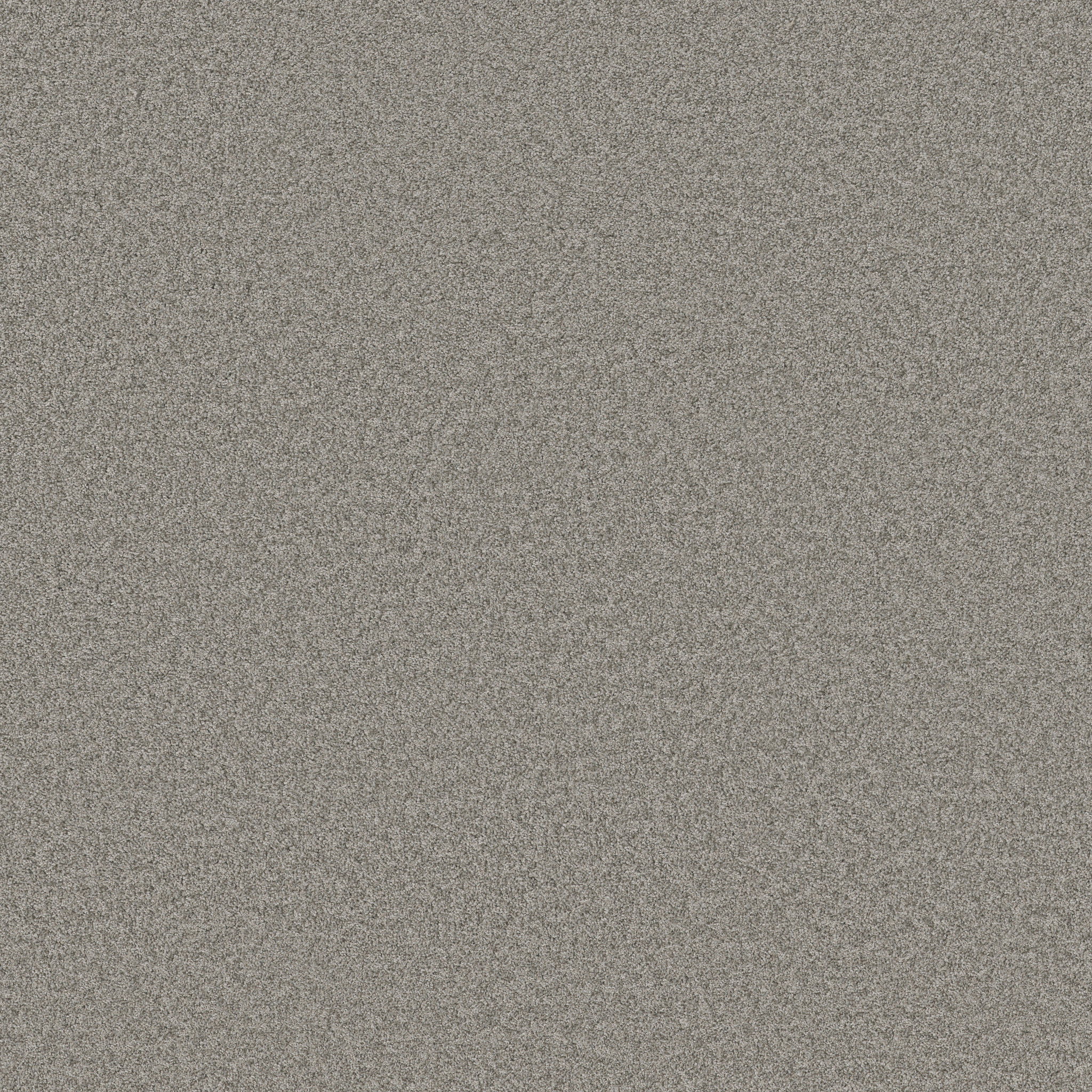 HARMONIOUS I GREY FOX MAIN