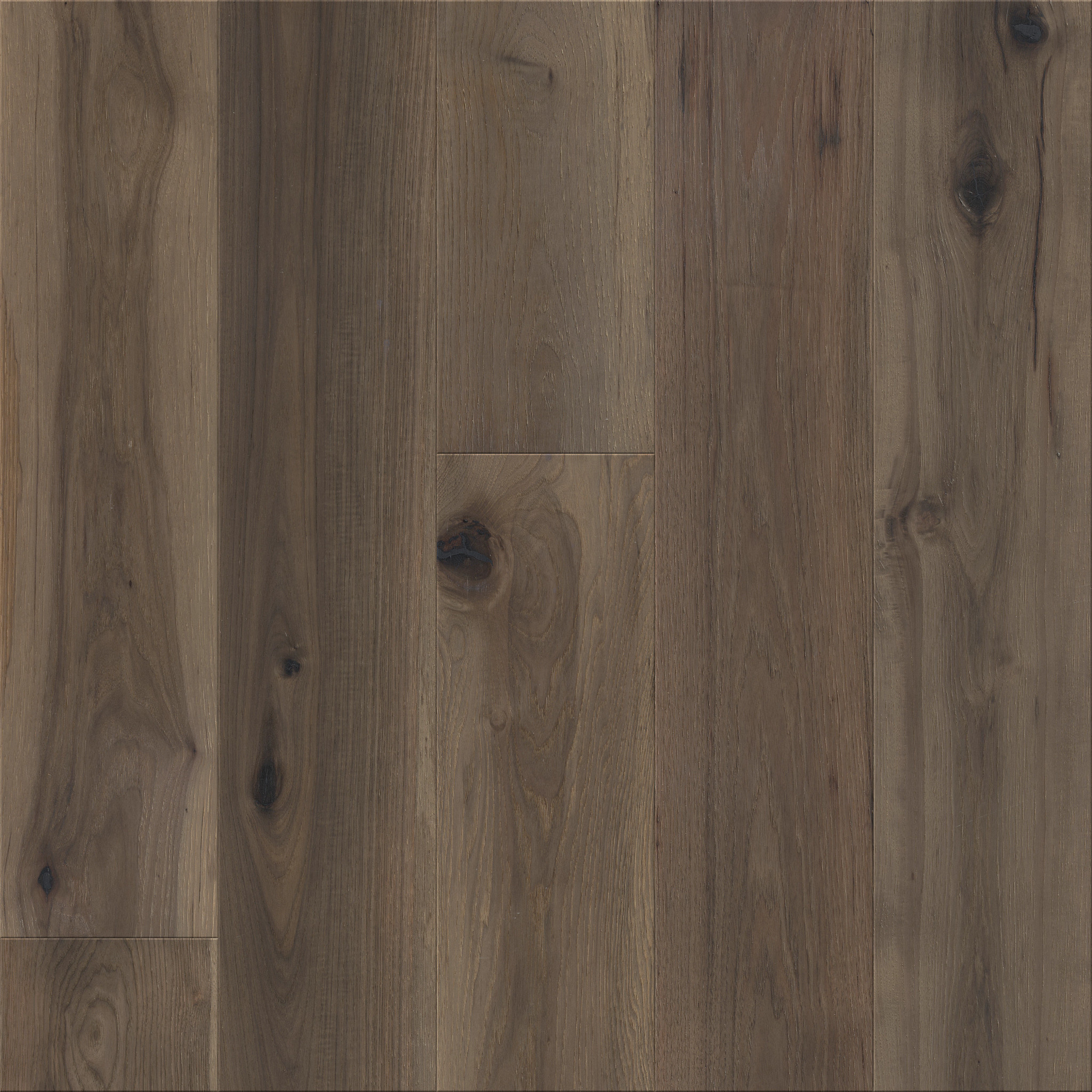 TRANSCENDENCE ELEVATION MAIN