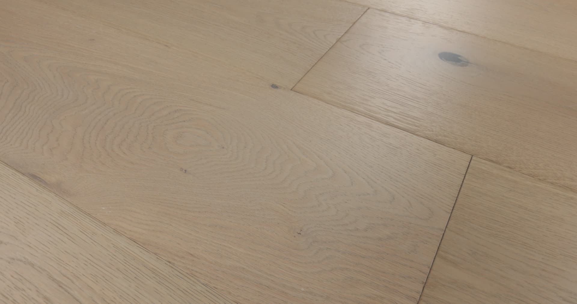 EXPRESSIONS 9.5" LYRIC 360PROD