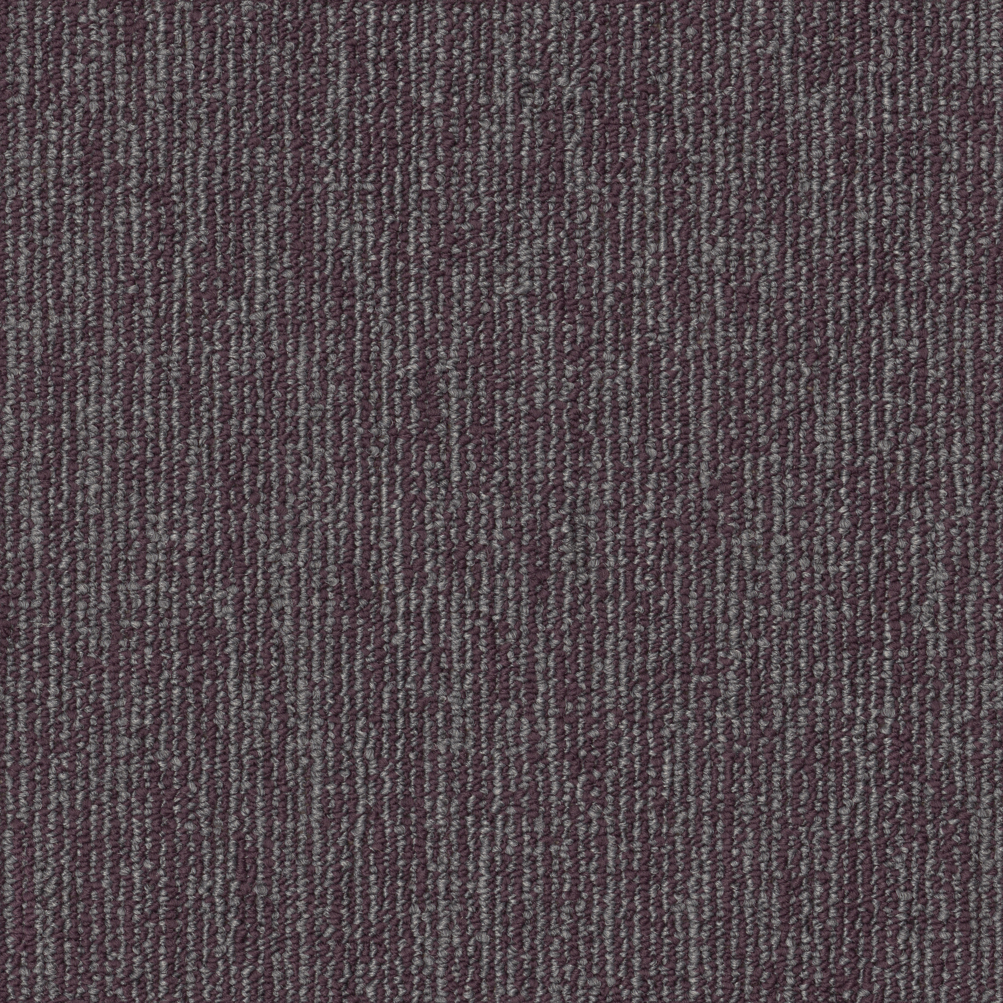 ENGRAIN-54922-PRINCIPLE-00900-main-image