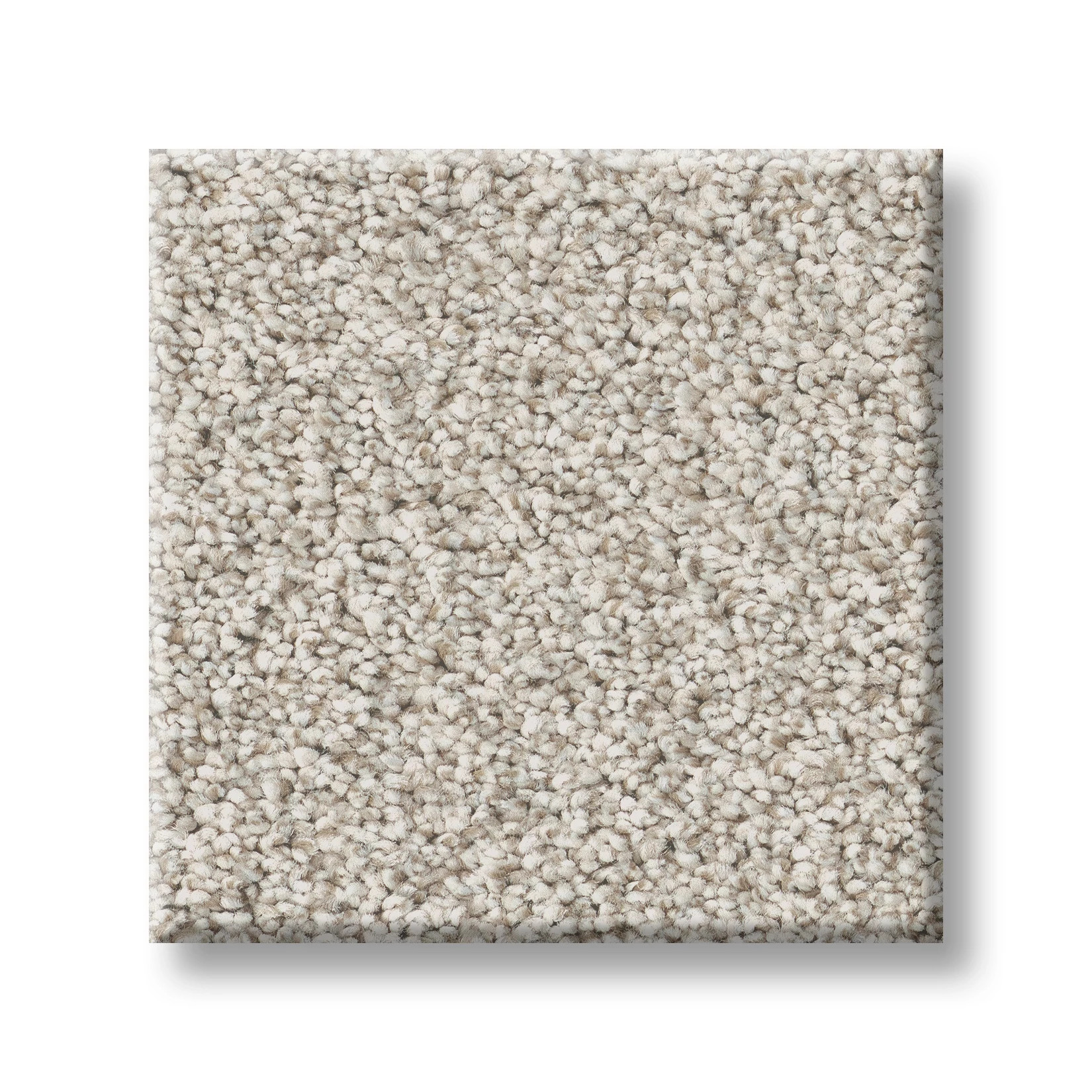 TIMELESS TONE COOL WINTER SWATCH