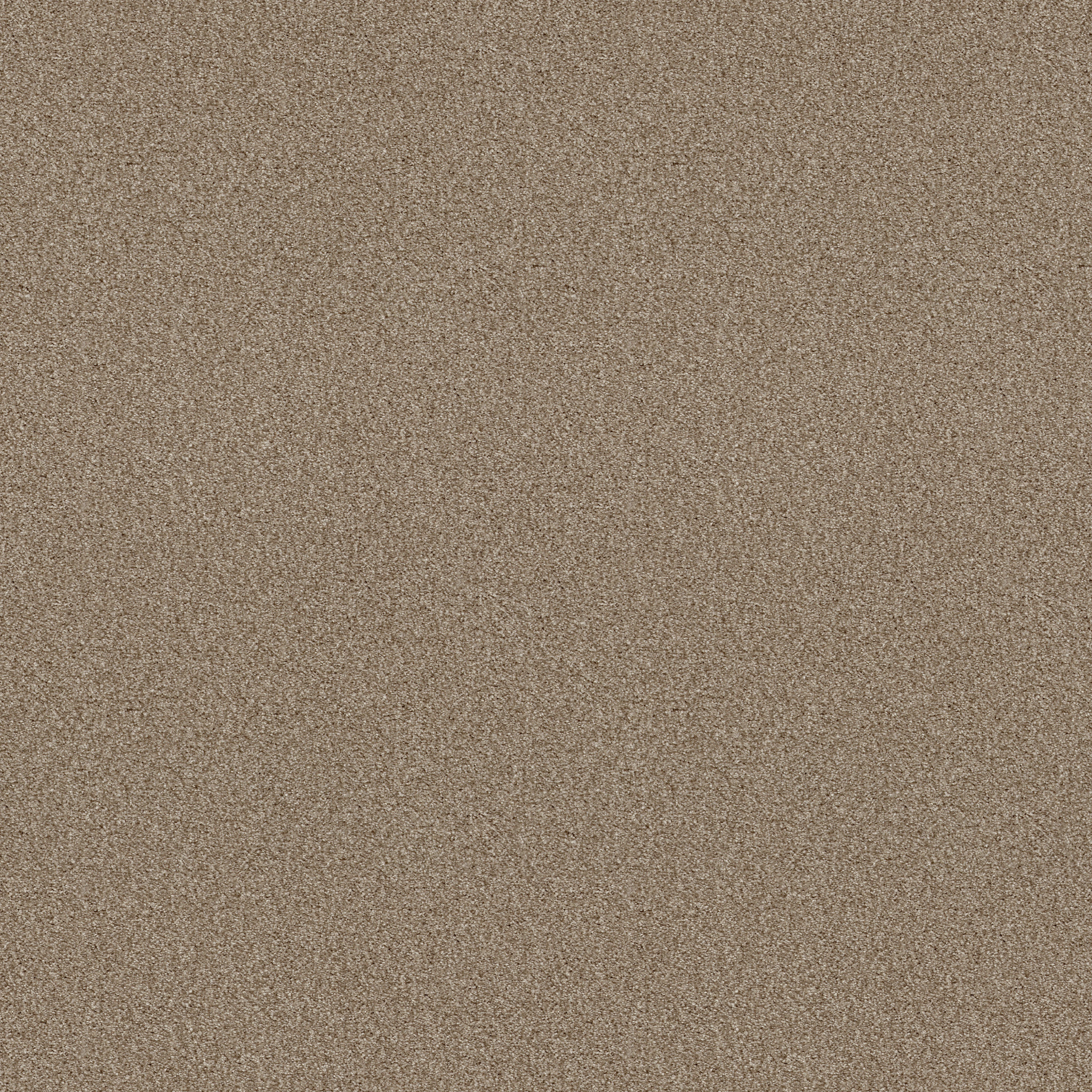 TONAL COMFORT BLUE HONEY TEA MAIN