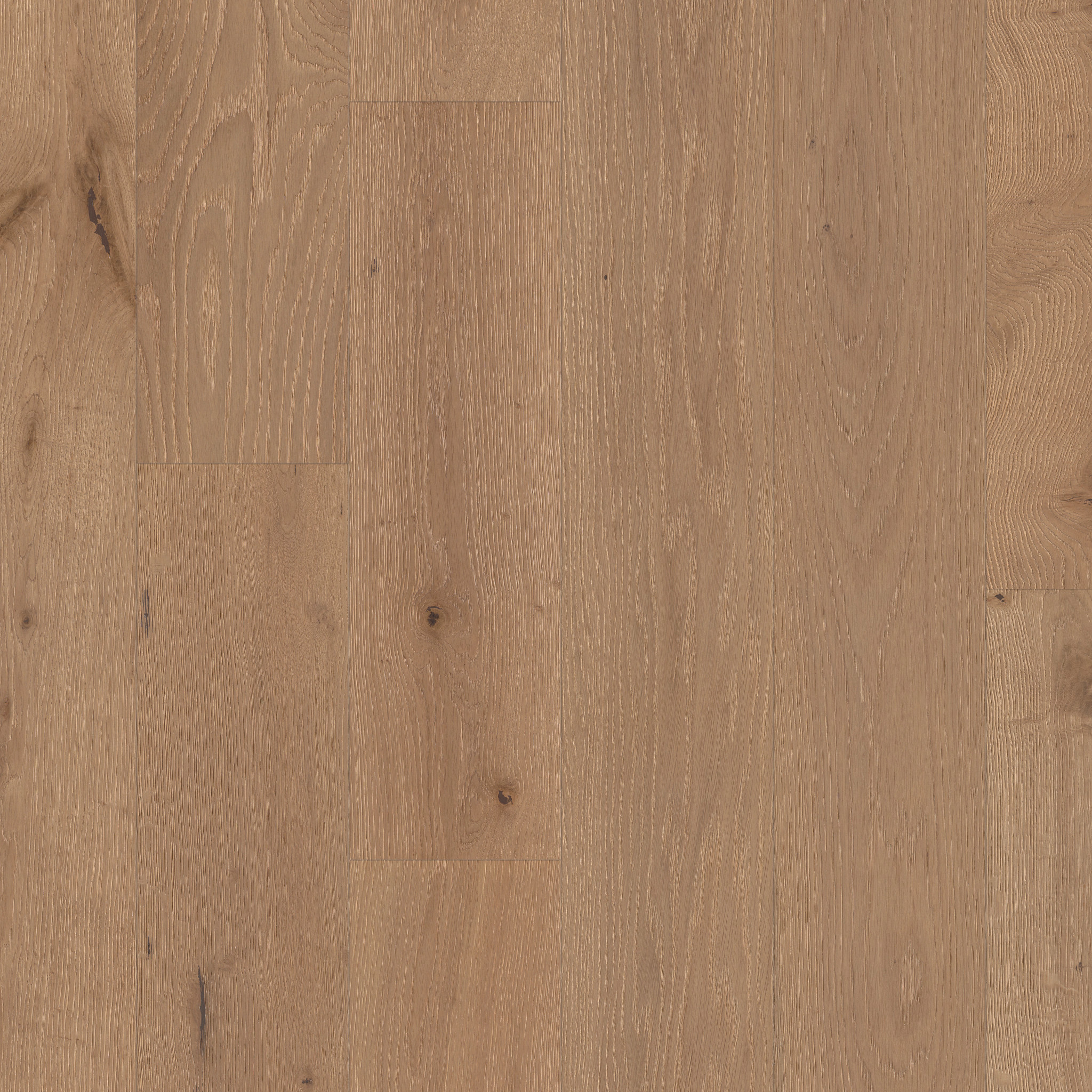 PROVINCIAL PLANK FAWN MAIN