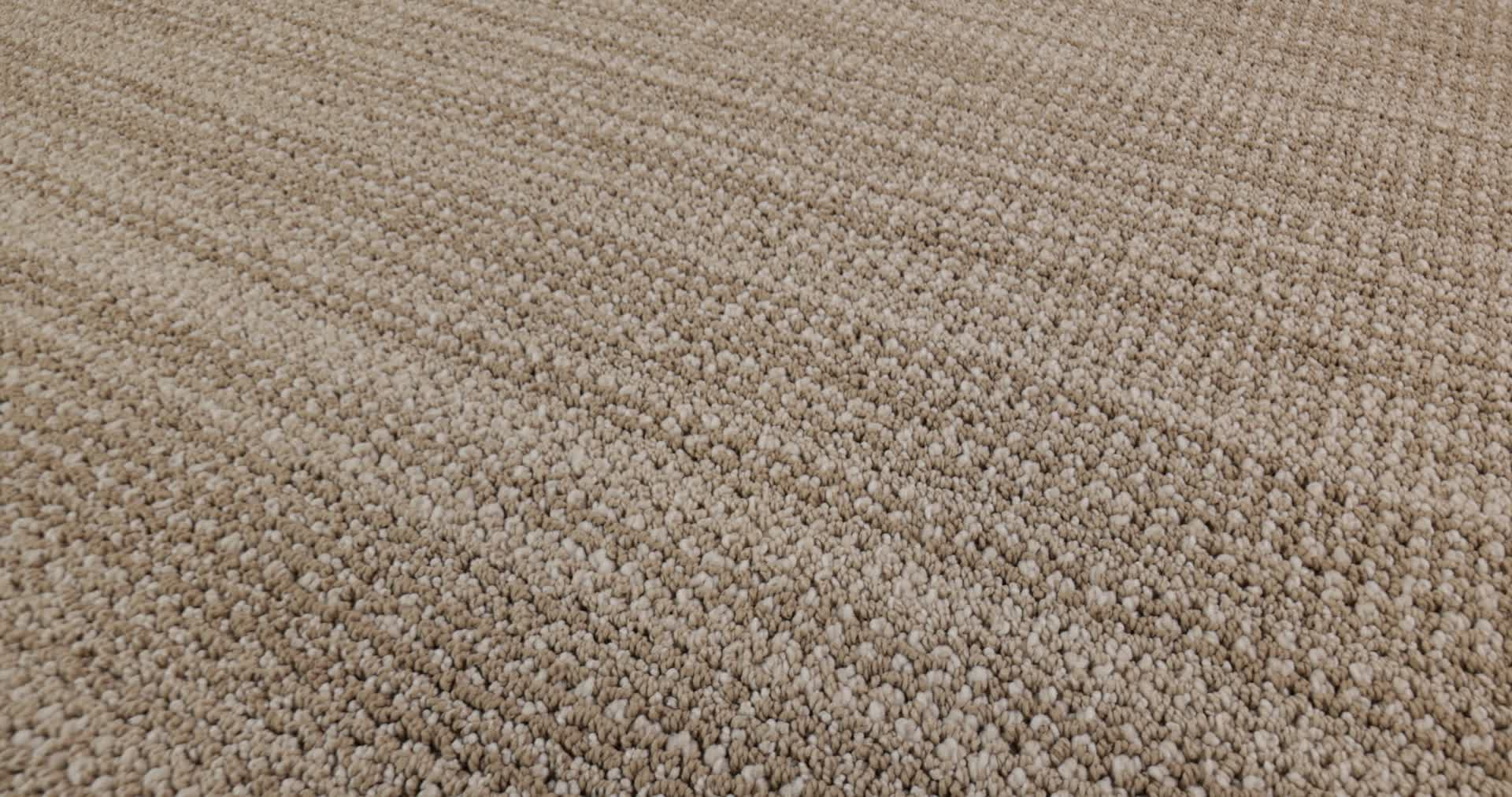 IN RHYTHM GINGER ROOT 360PROD