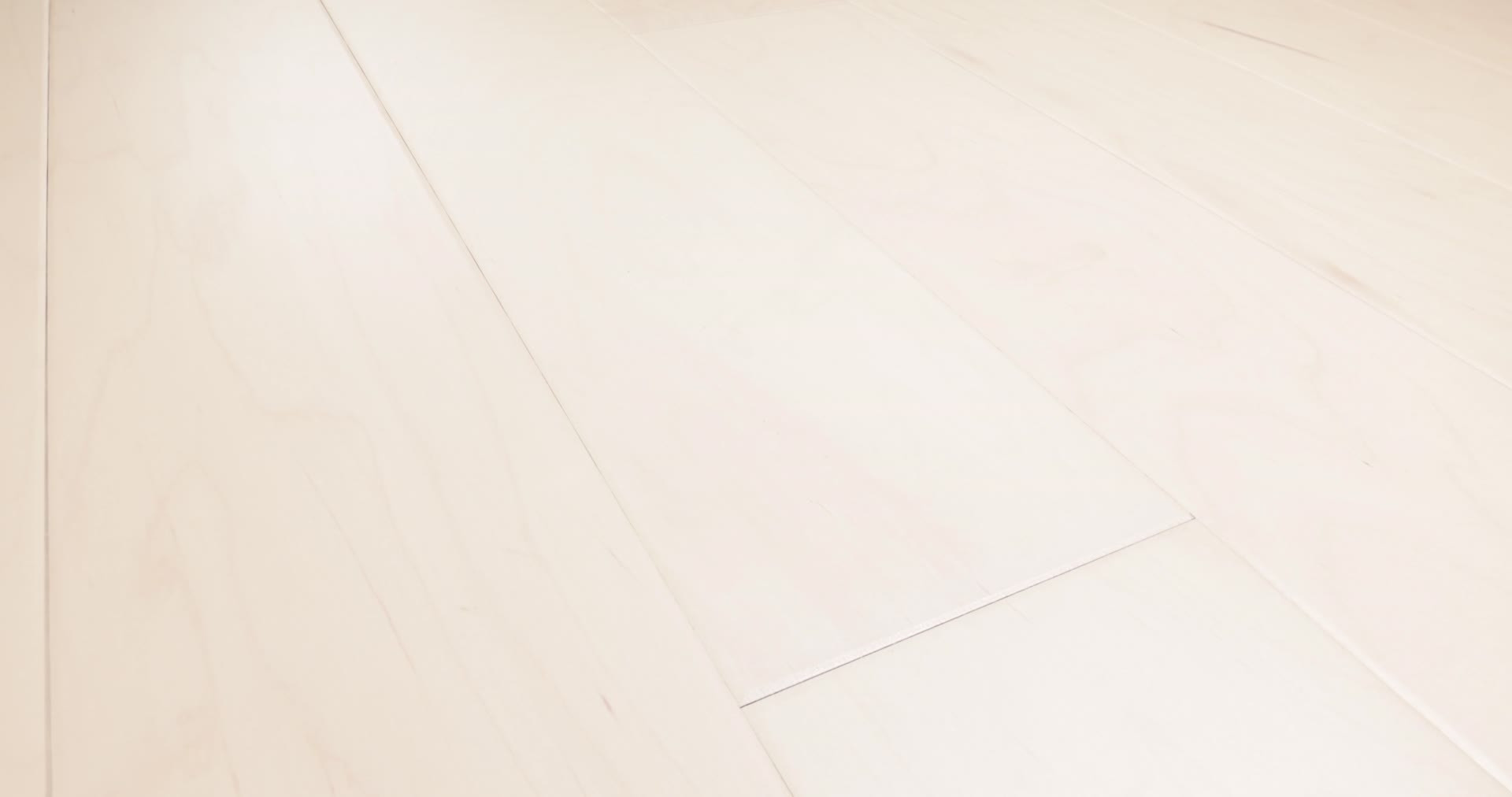 ECLECTIC MAPLE AMERICANA 360PROD