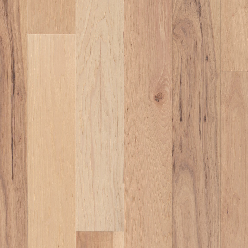 AMERICANA HICKORY in Intrinsic by Shaw Floors