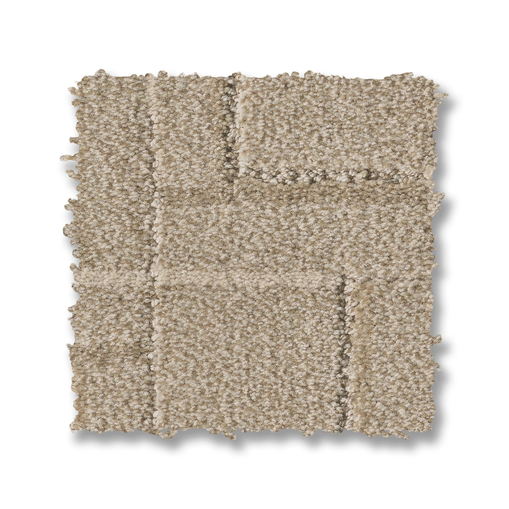 PATH DUSTY DREAM SWATCH