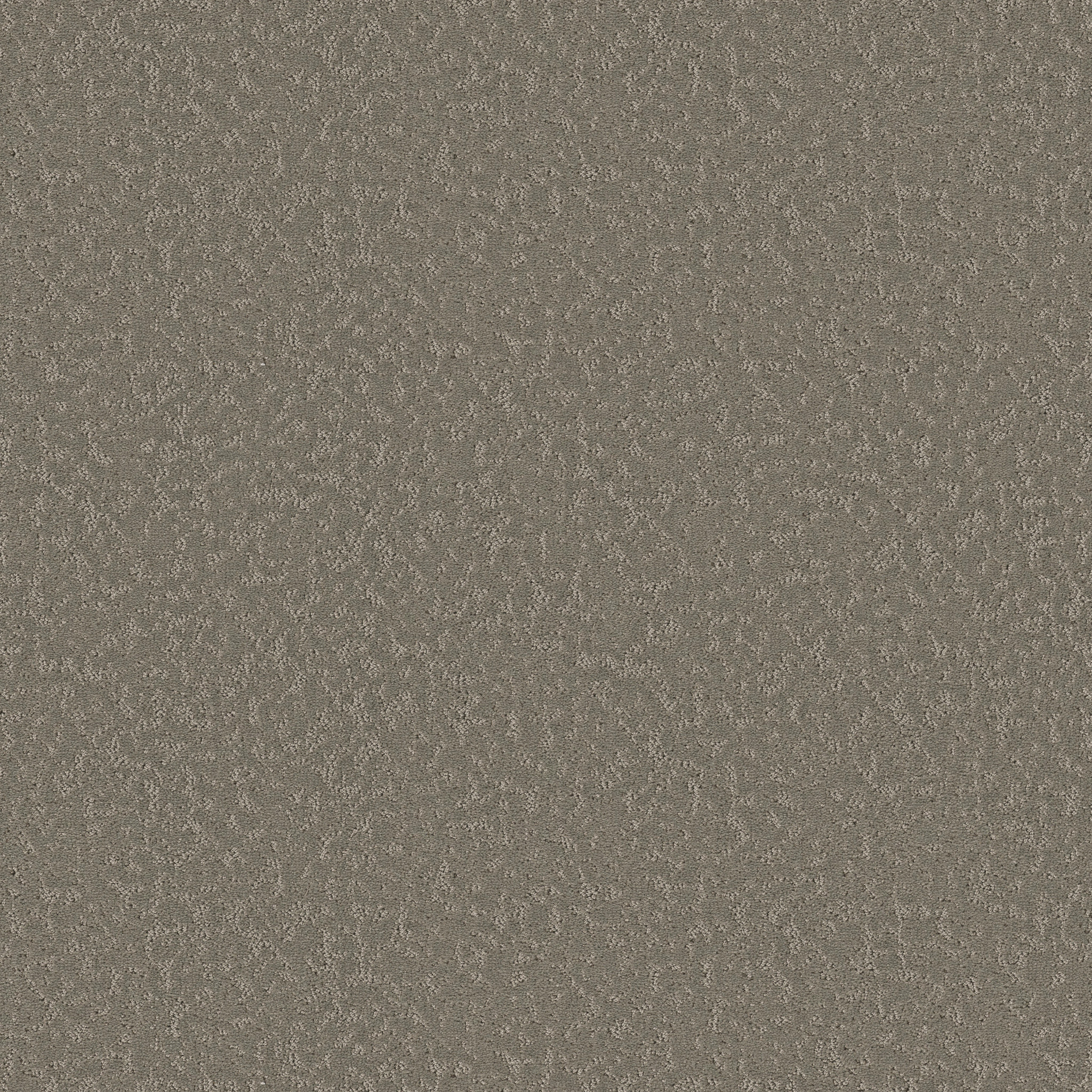 CLEVER CHOICE FALLEN ACORN MAIN