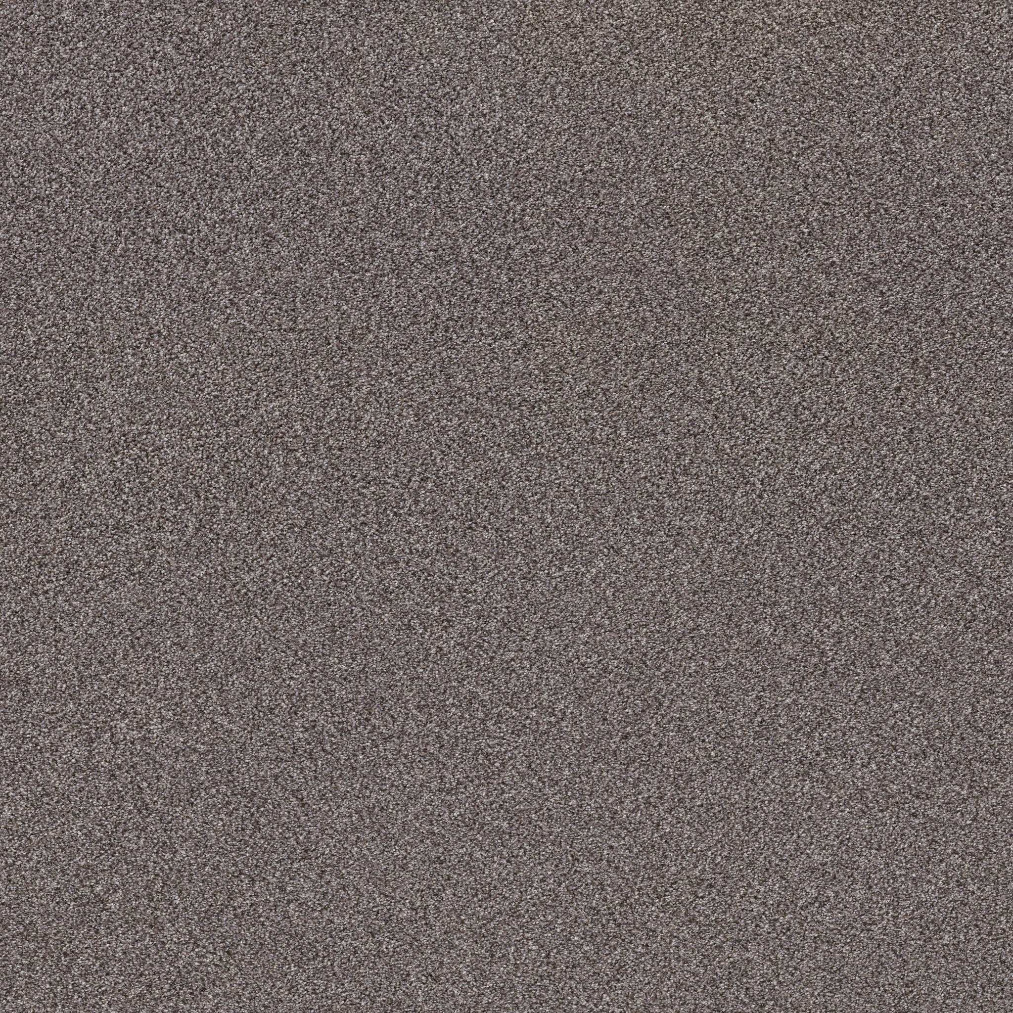 TruSplendor QUARRY MAIN