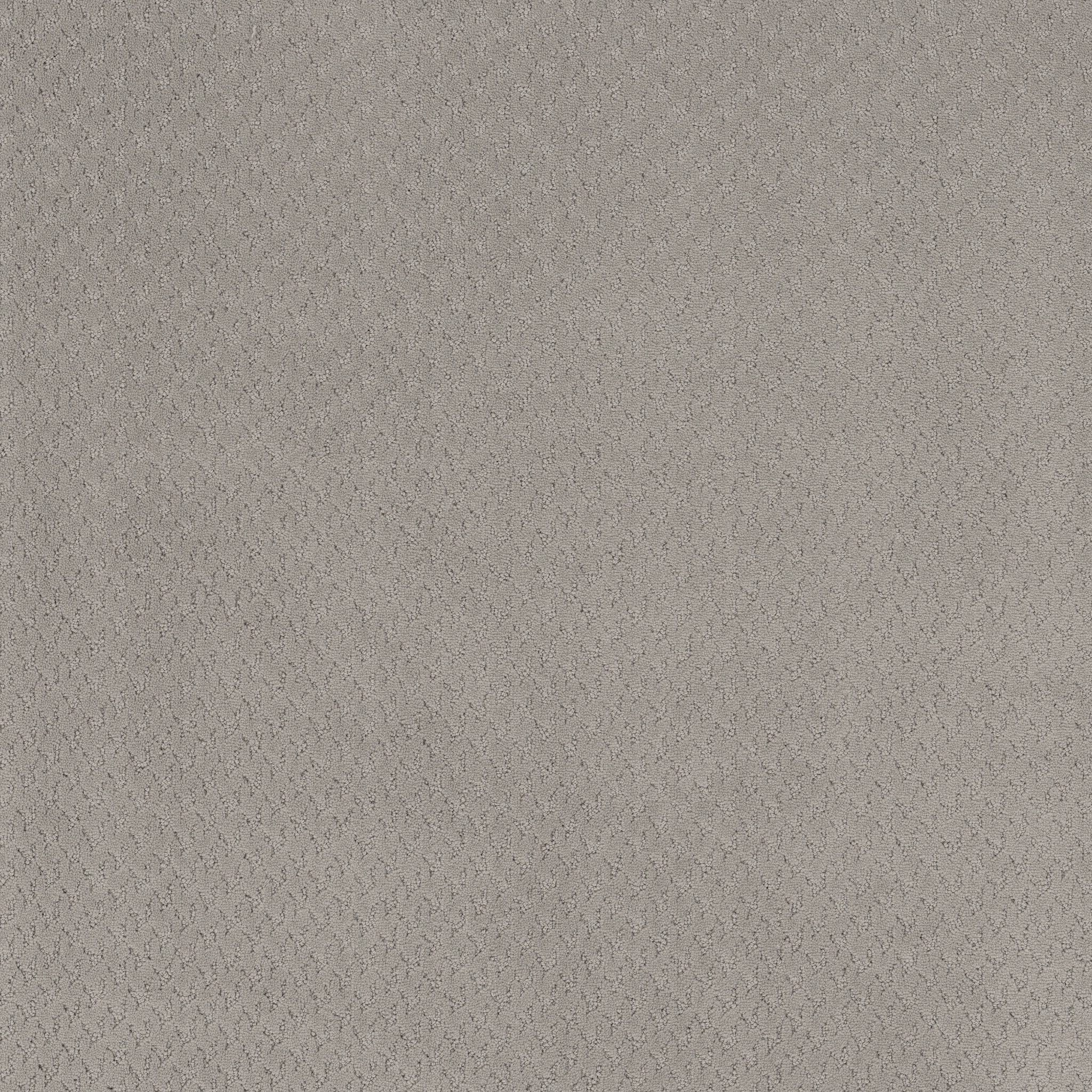 APERTURE FRENCH GREY MAIN