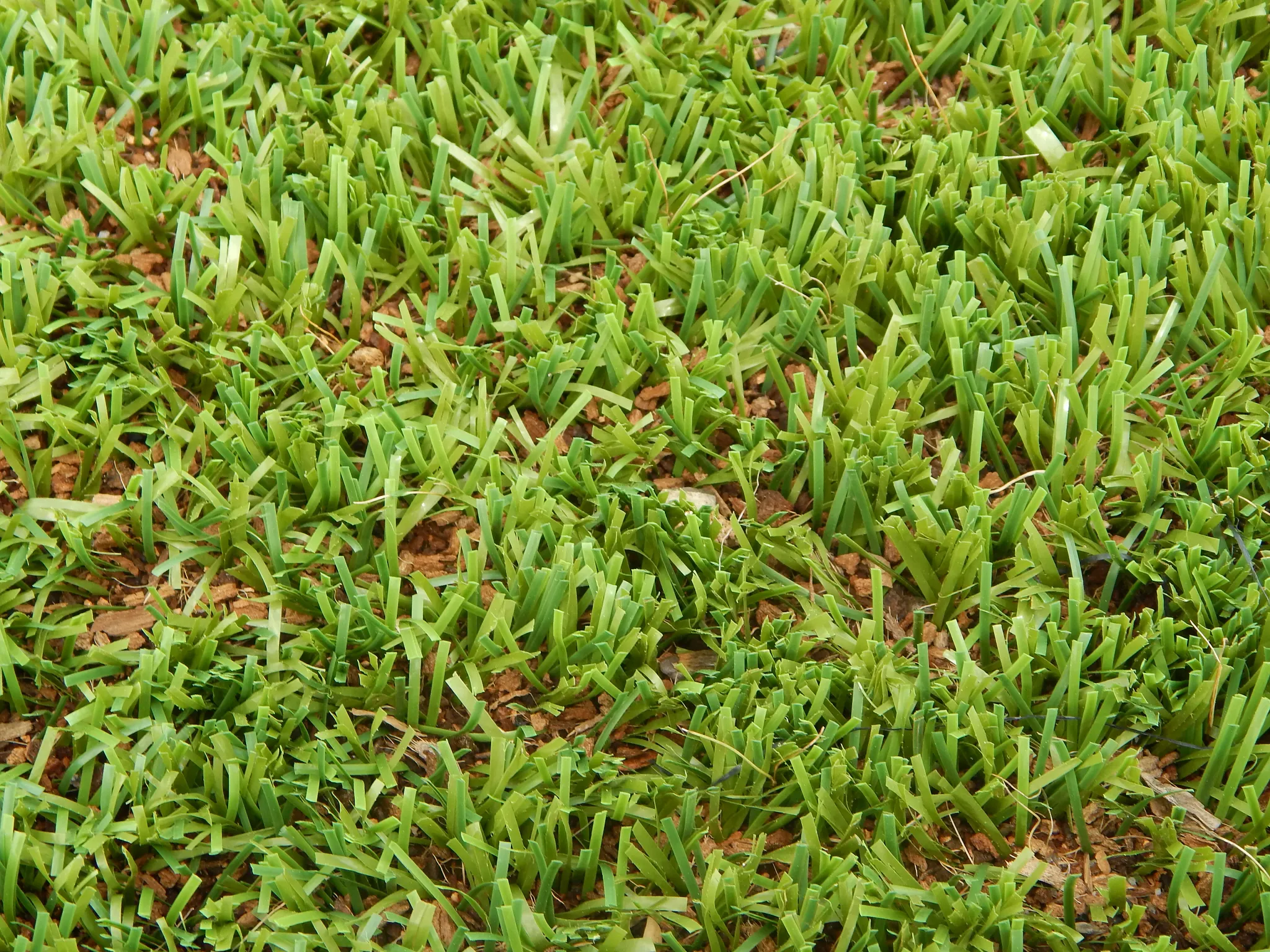 Close-up view of artificial turf with vibrant green blades and brown thatch