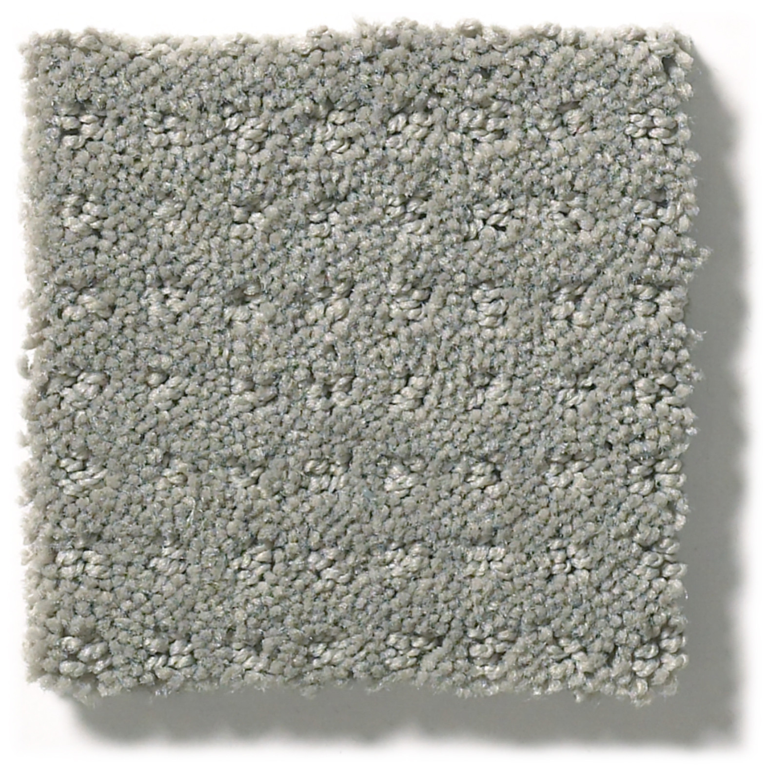 PERPETUAL MOVE SLATE SWATCH