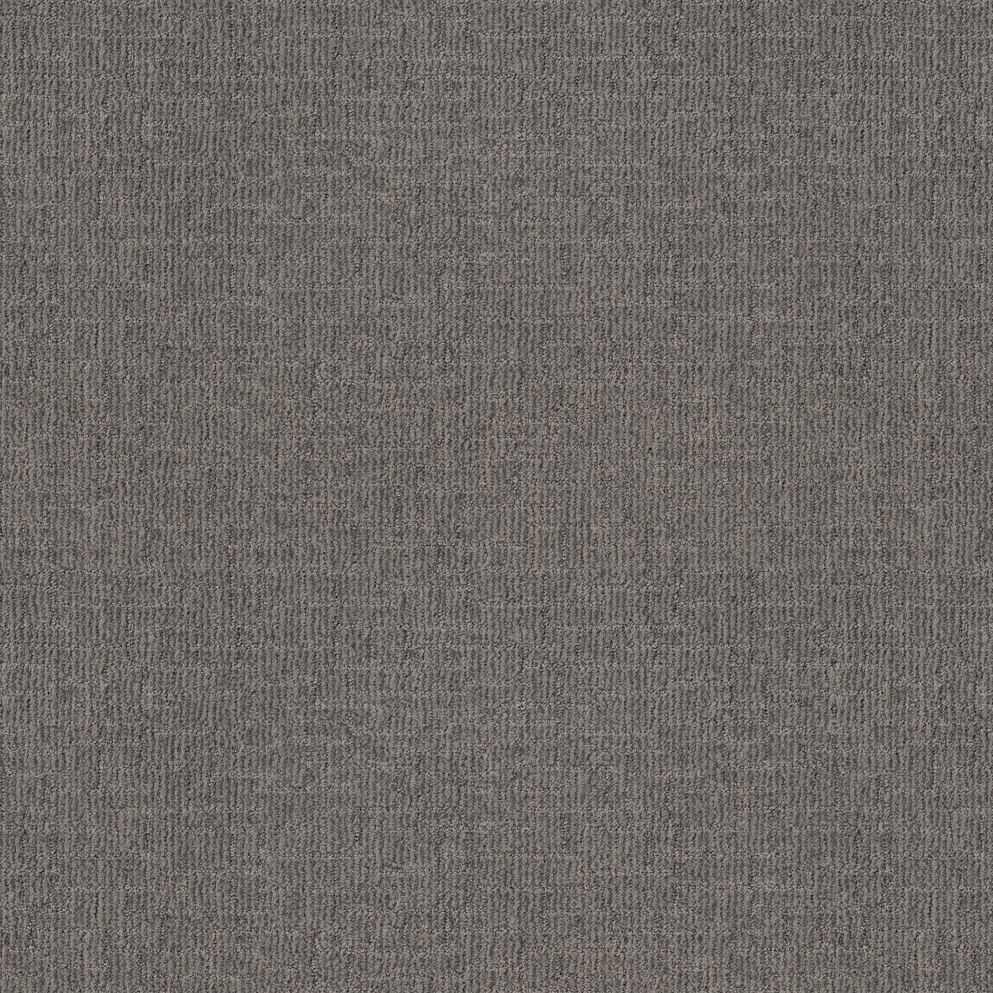 WAYFARER SHARKSKIN MAIN