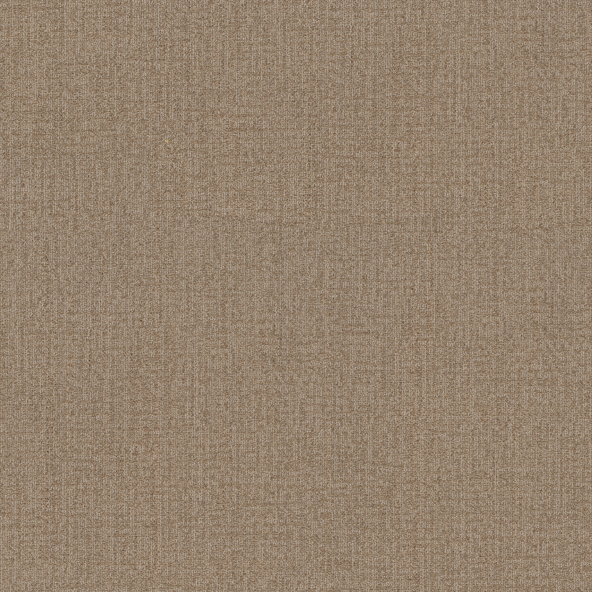 MUTED-RHYTHMS-BROADLOOM-55016-WINDSOR-TAN-00208-main-image