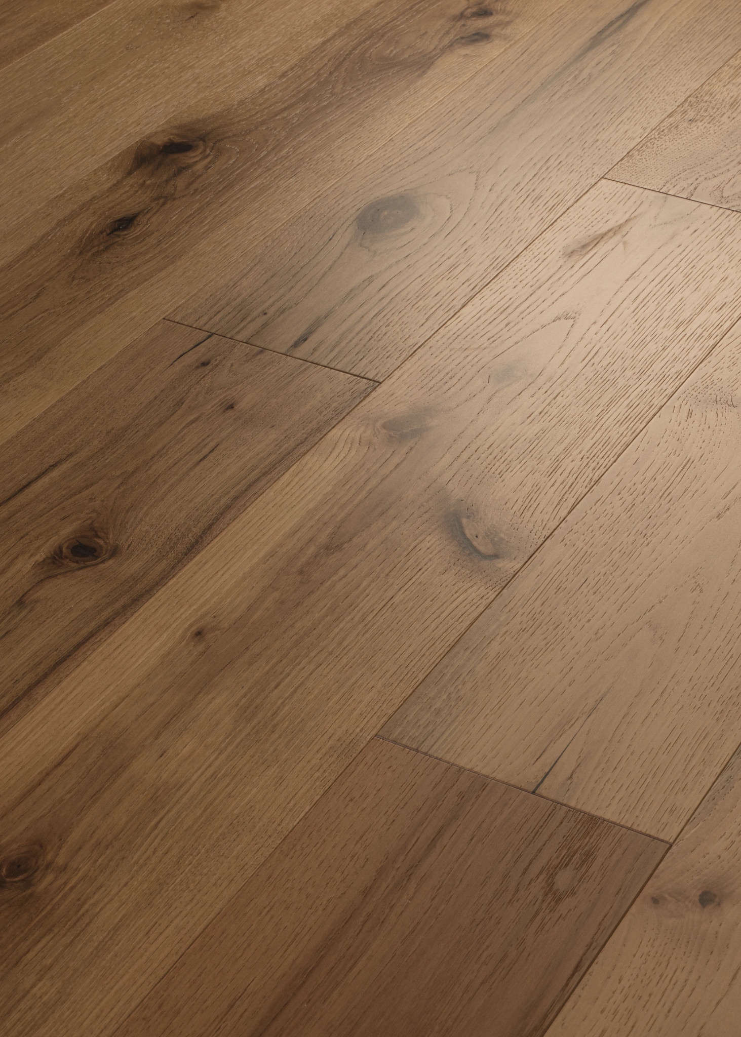 TRANSCENDENCE ABSOLUTE ANGLED